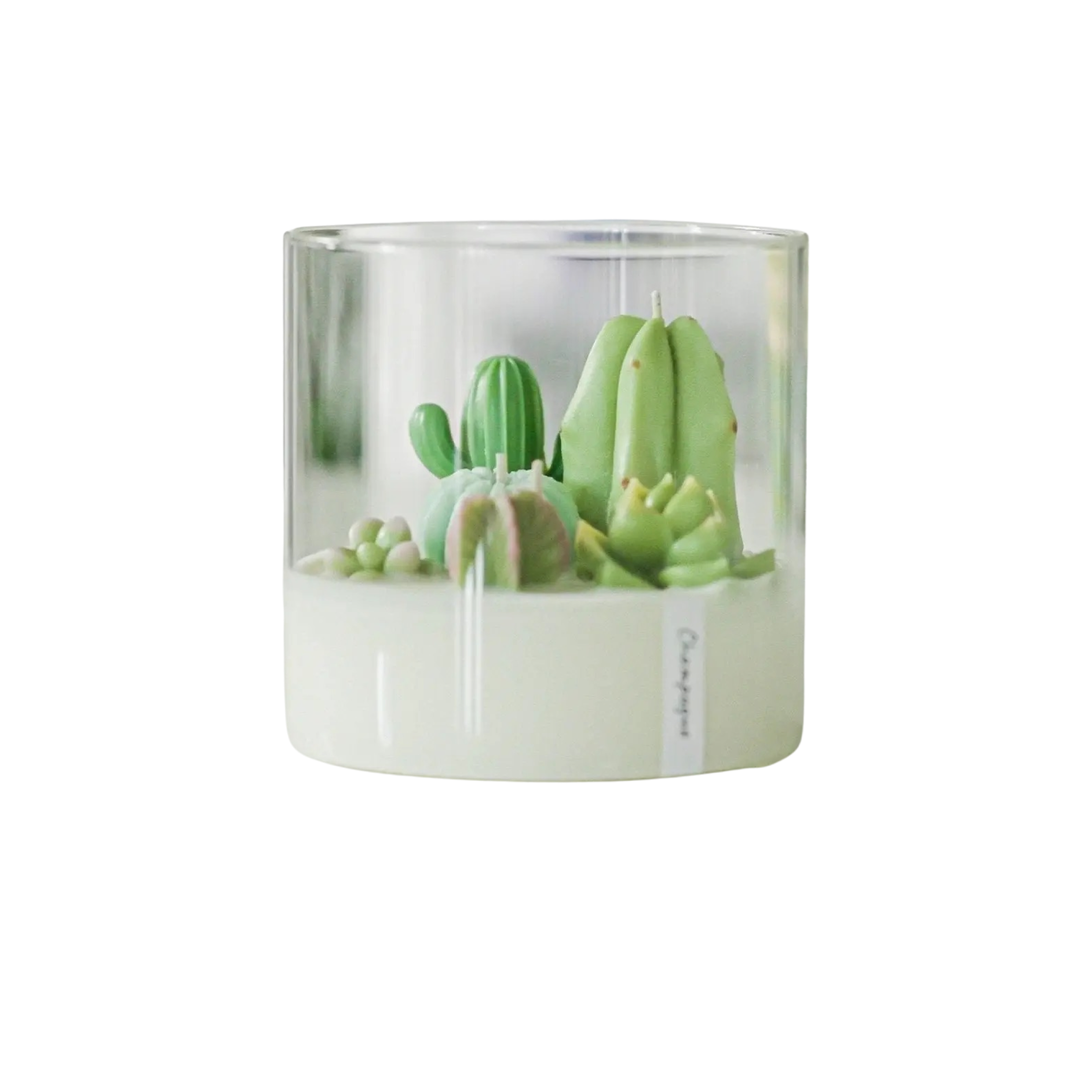 succulent terrarium candle 3-Wick Soy Cacti & Succulent Terrarium Candle