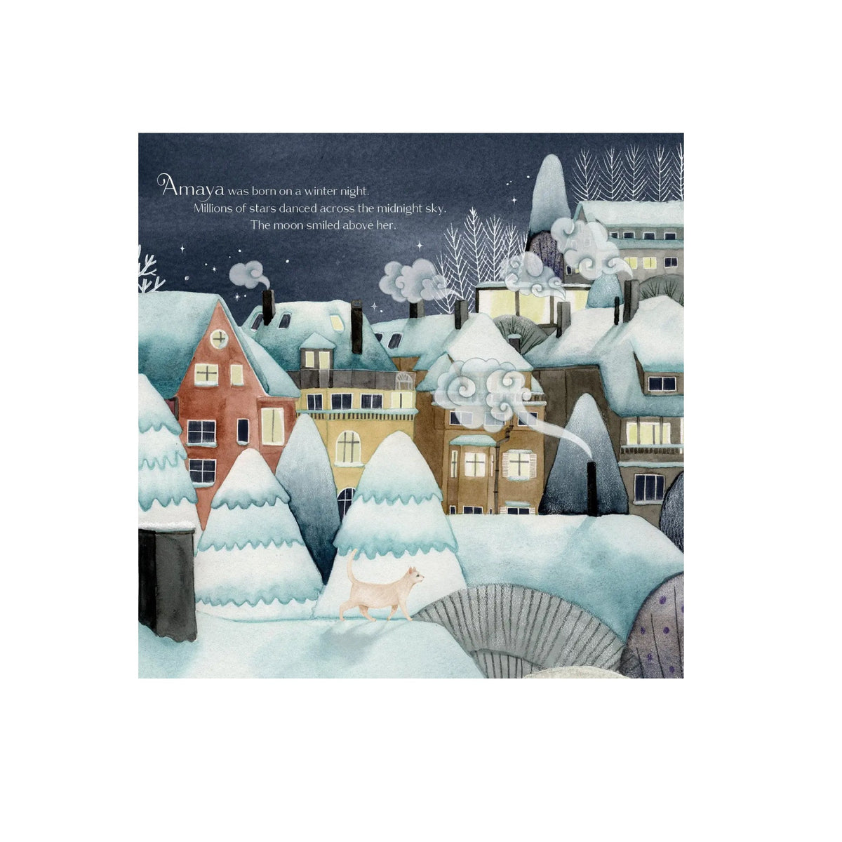 A Little Bit Of Everything Picture Book