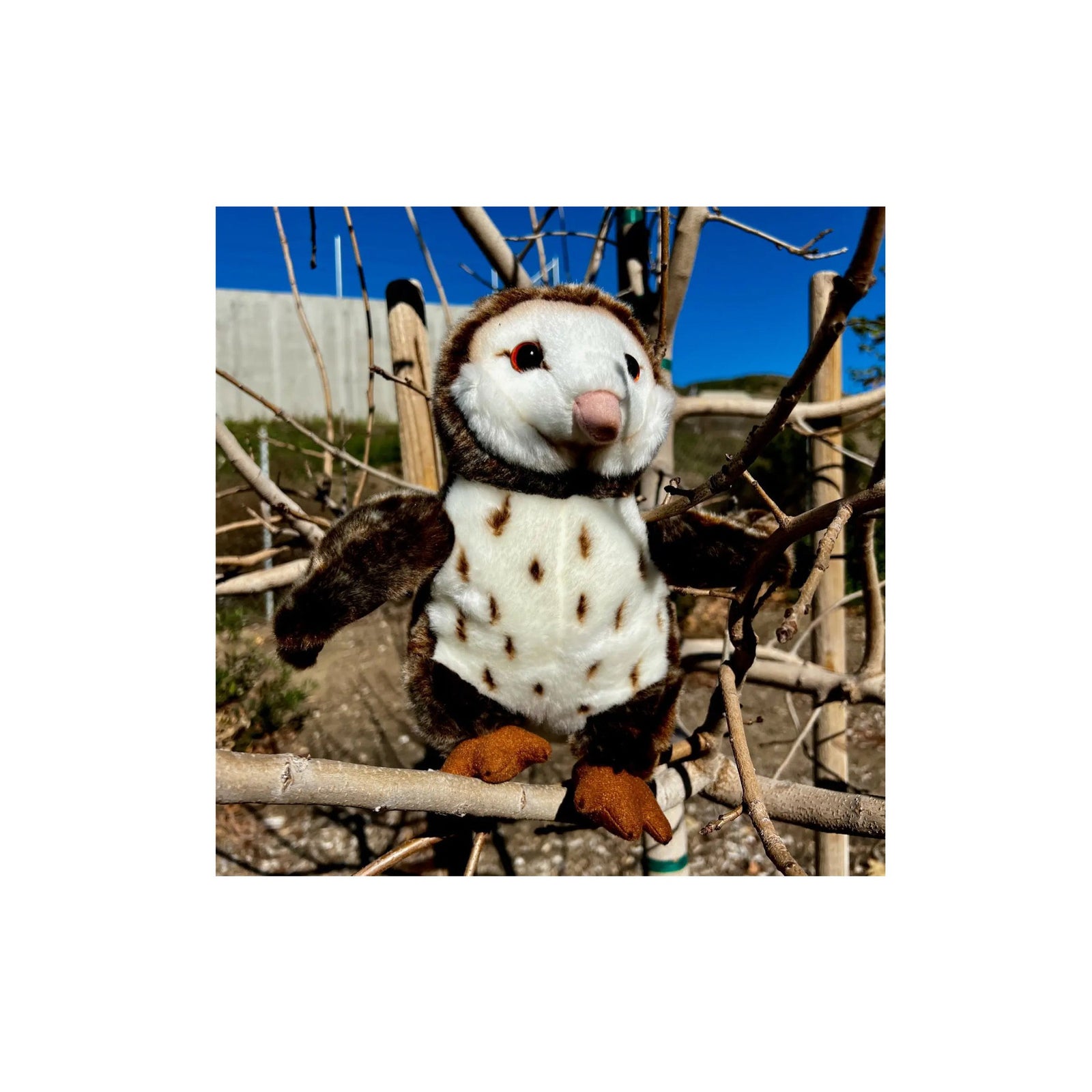 Barney the Barn Owl Plush