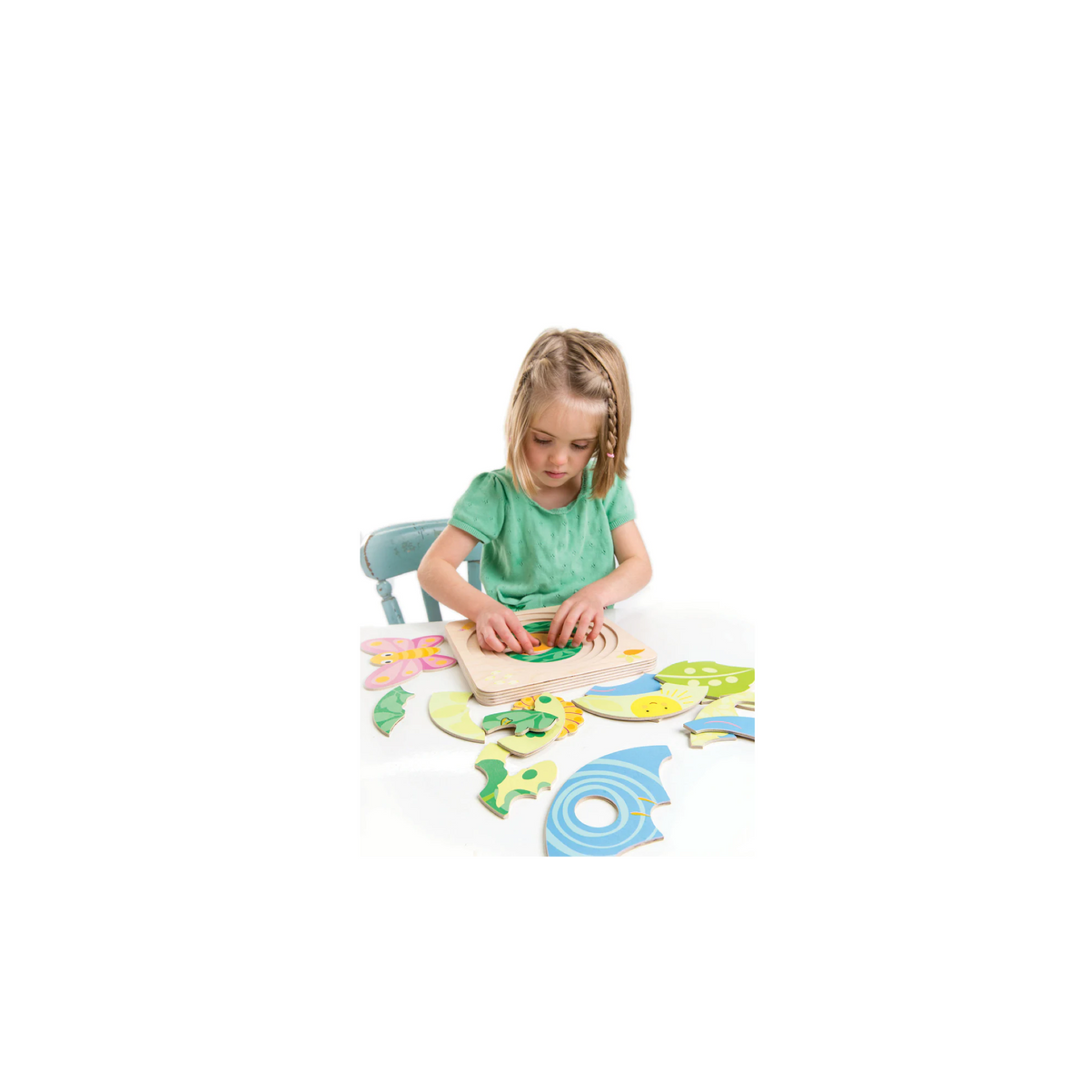 Butterfly Life Puzzle