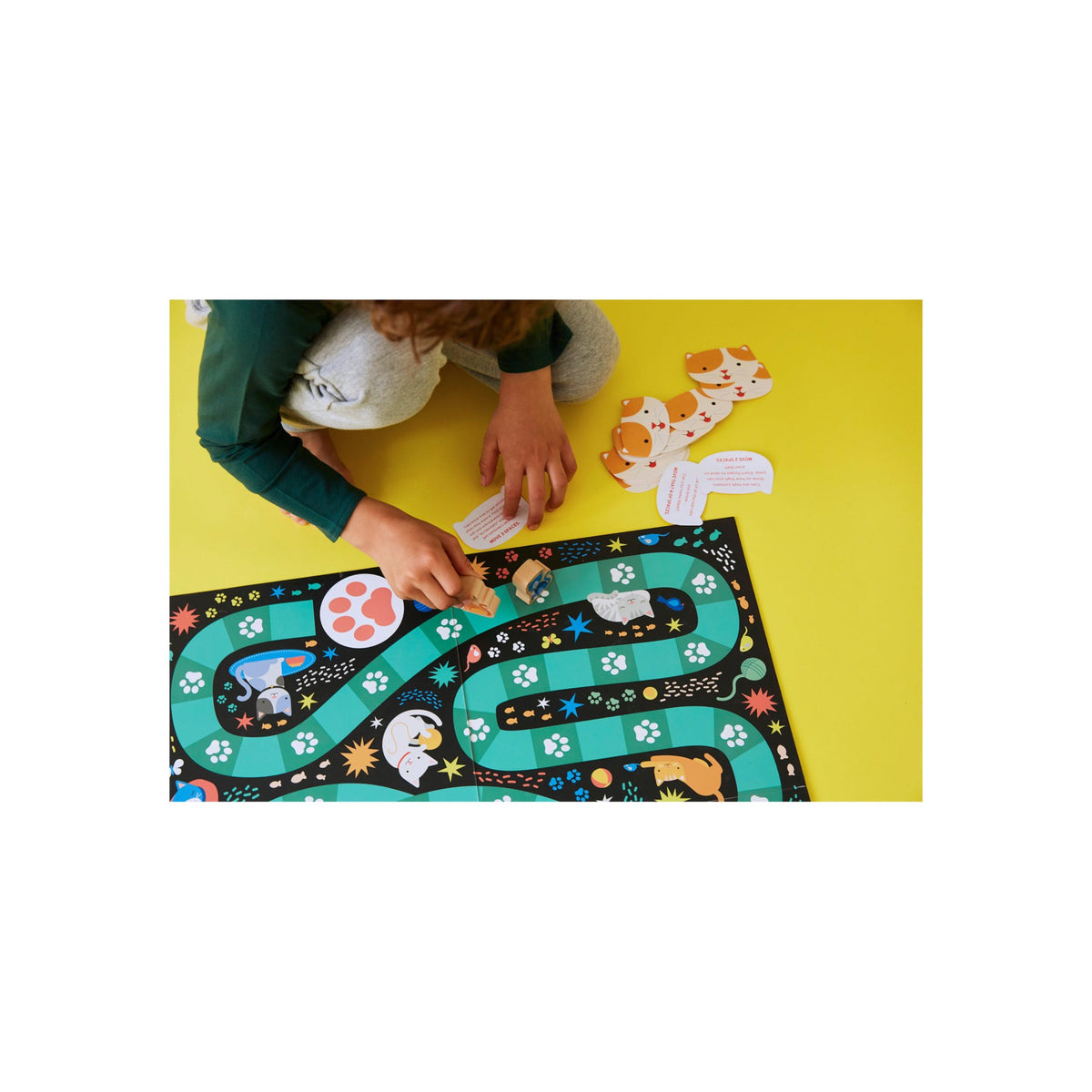 Catventures Board Game