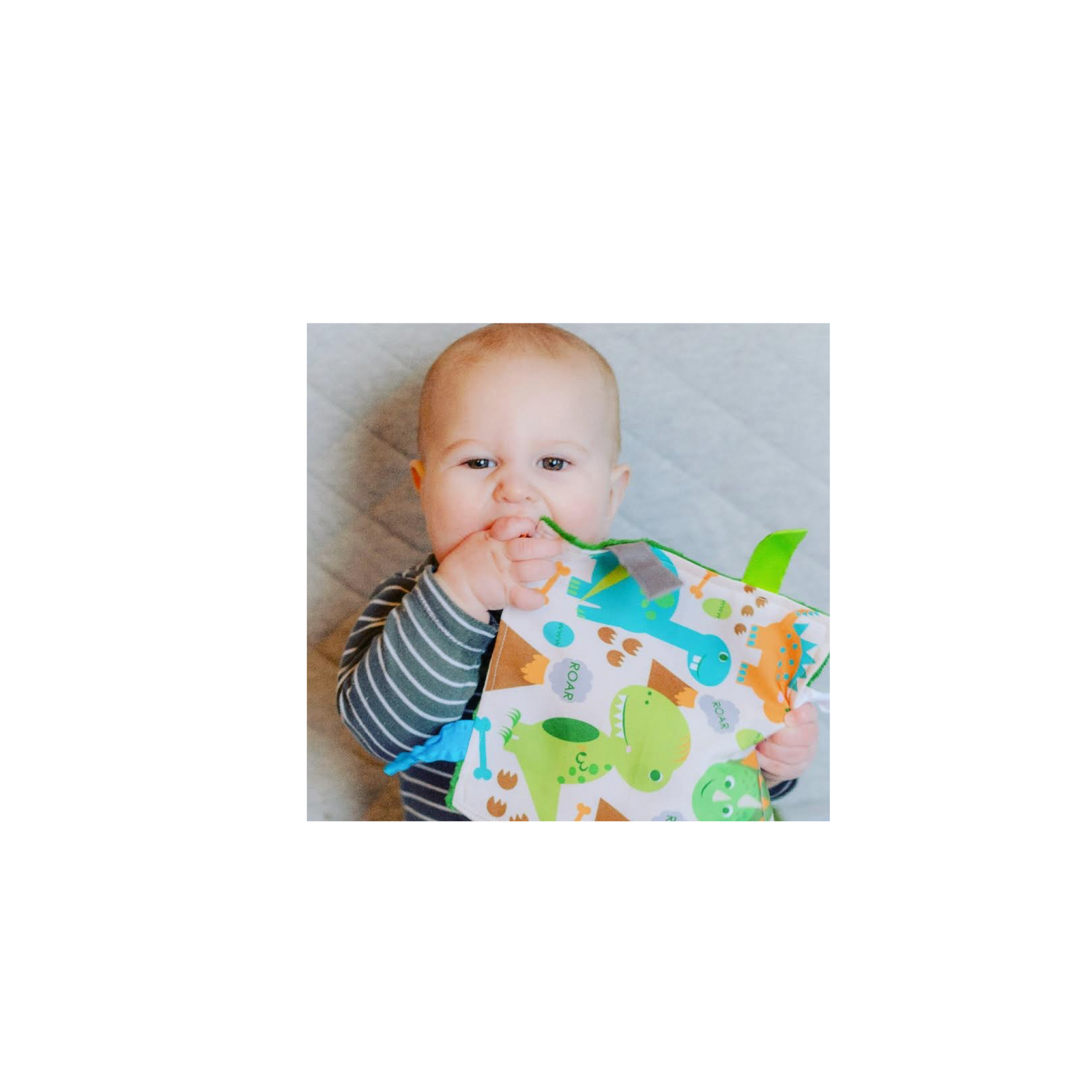 Dinosaur T-Rex Crinkle Tag