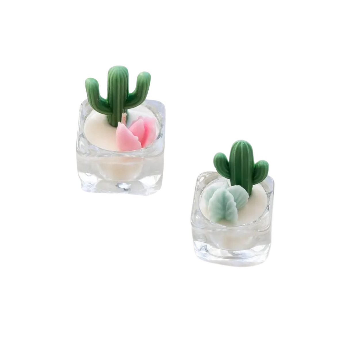 Mini Cactus &amp; Succulent Tea light Soy Candles