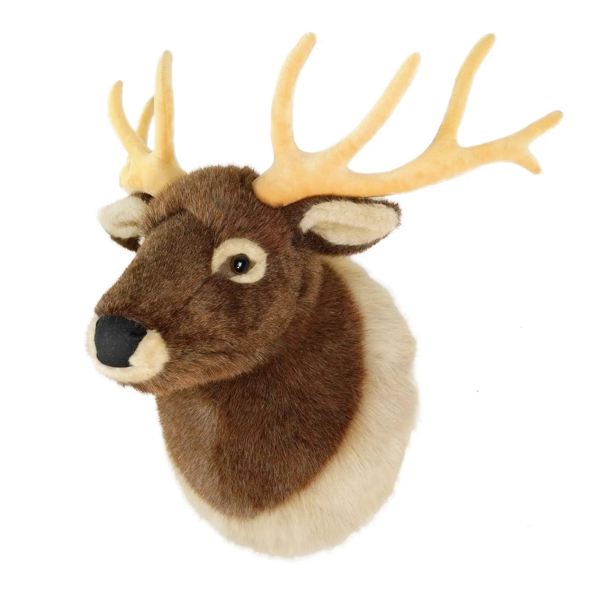 Evander The Elk Head