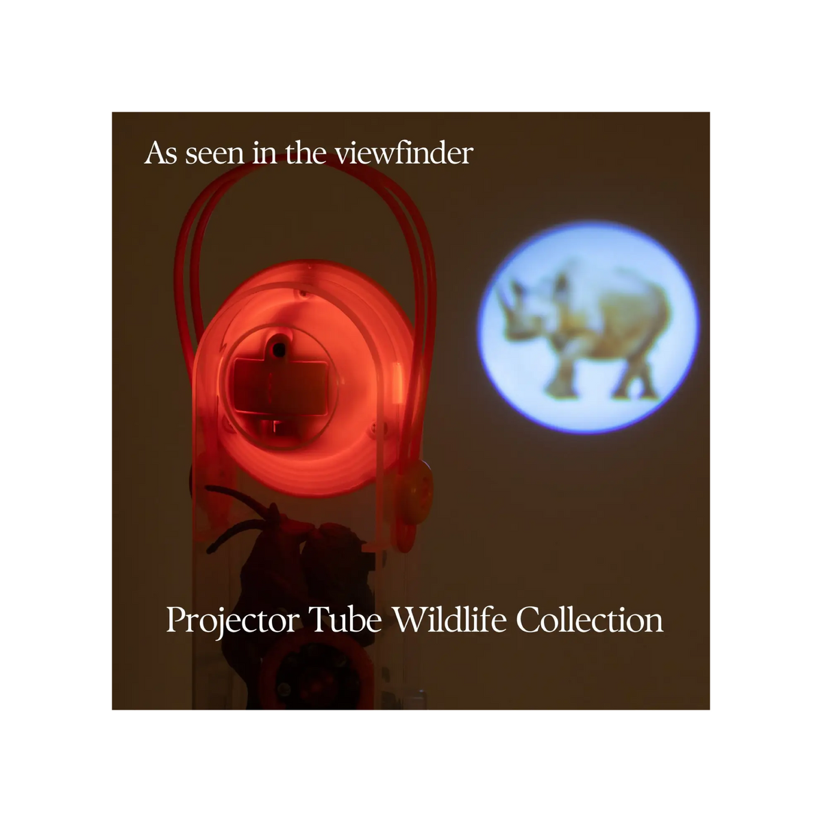 Animal Tube Projector