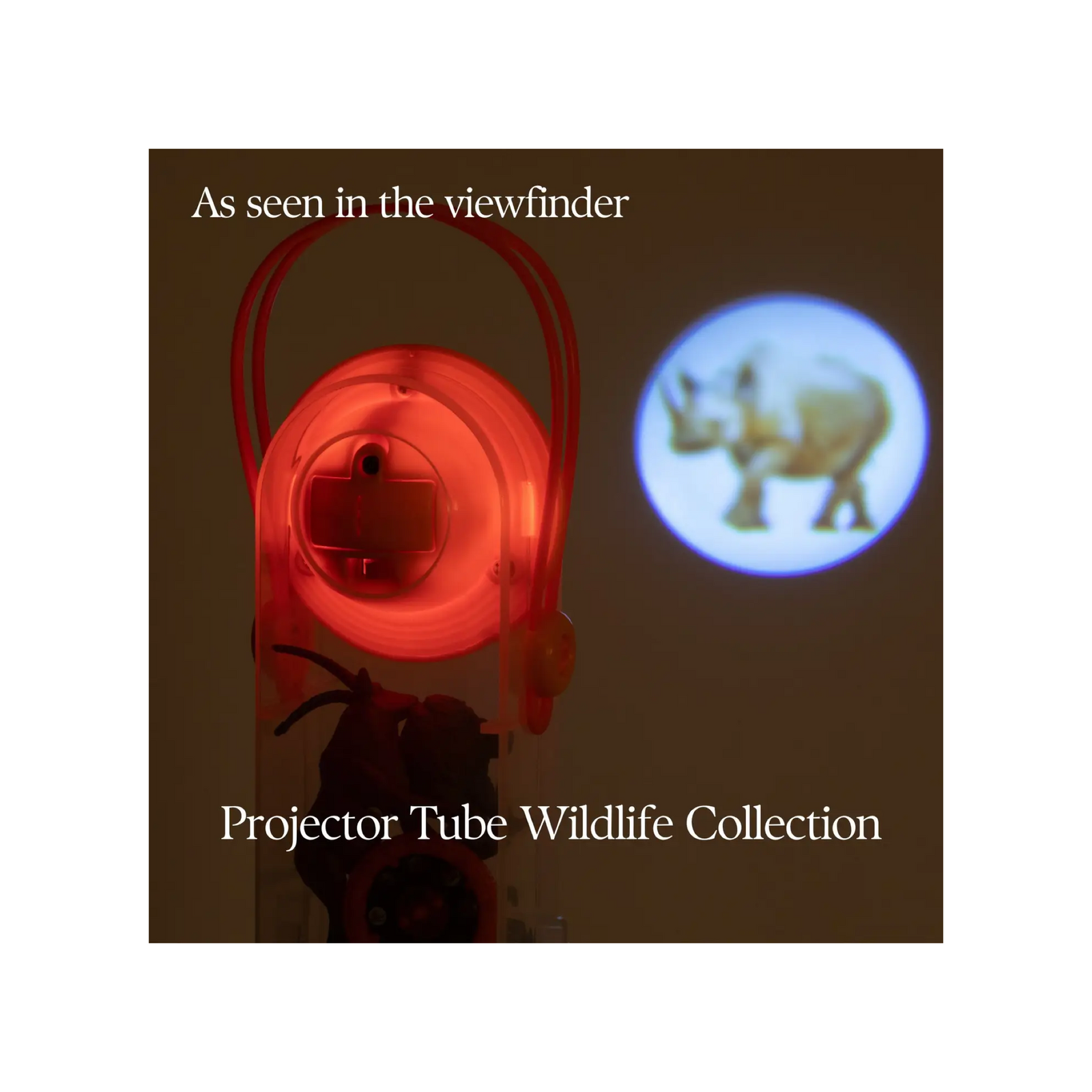Animal Tube Projector