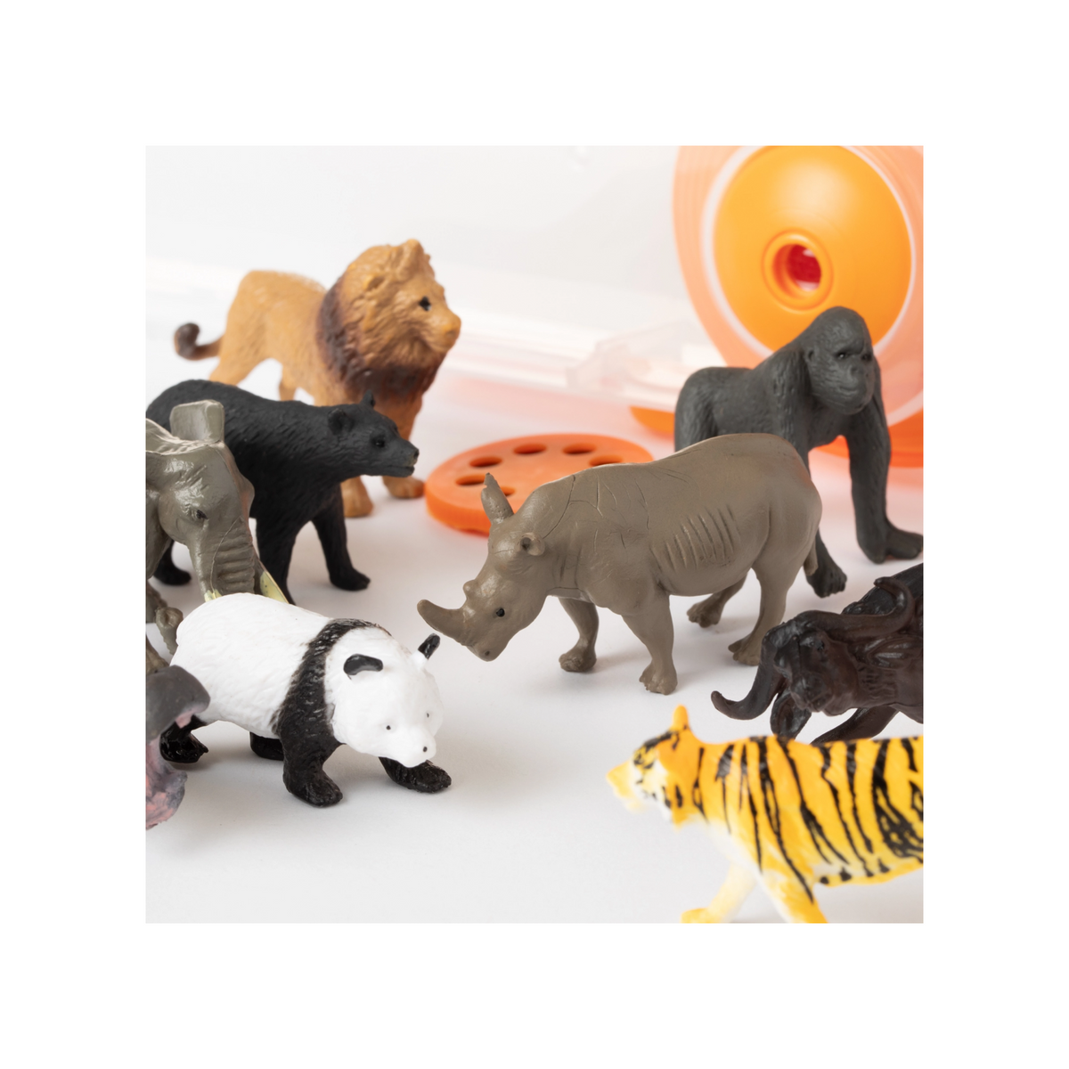 Animal Tube Projector