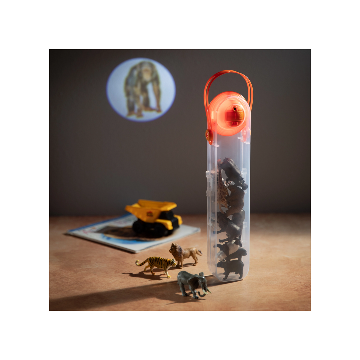 Animal Tube Projector