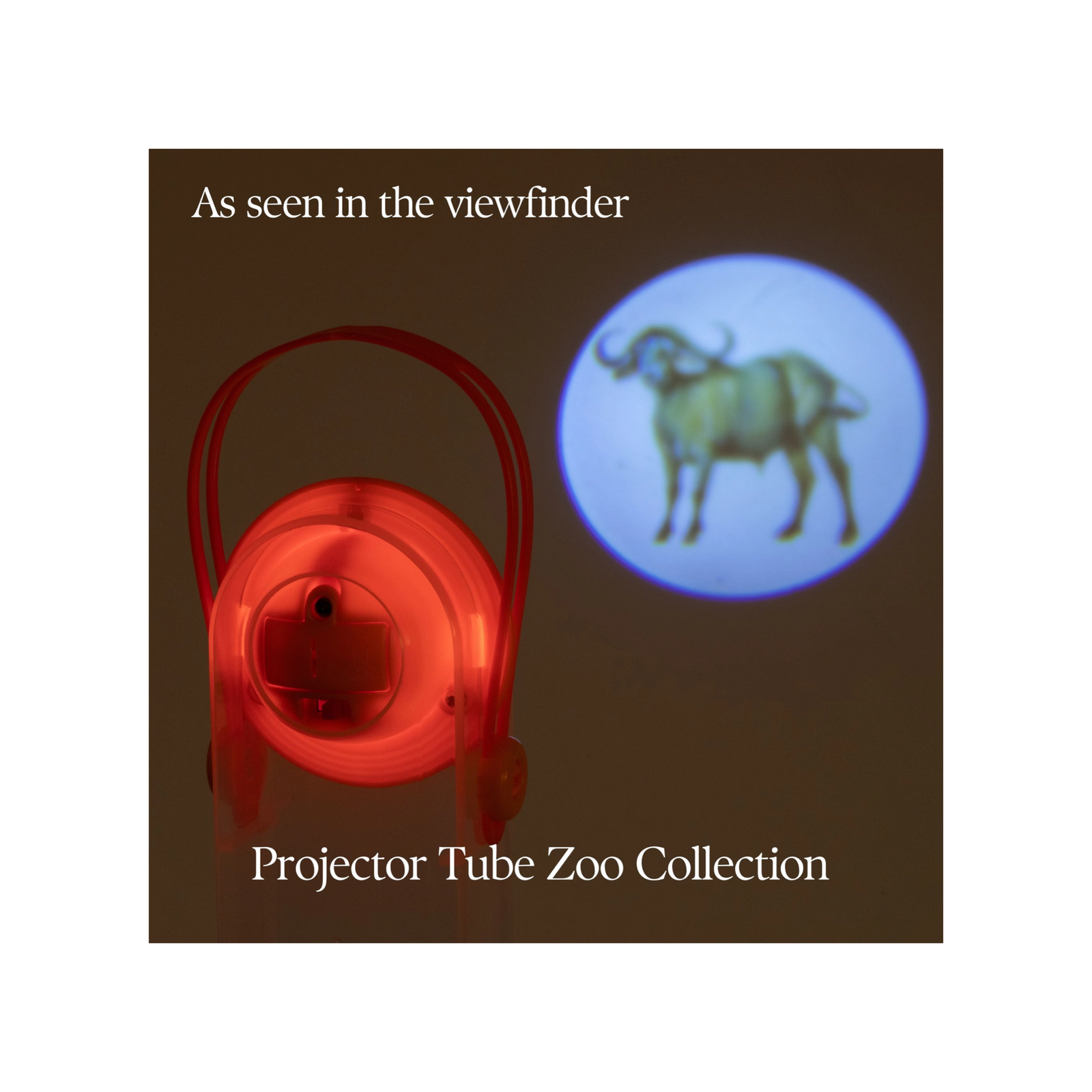 Animal Tube Projector