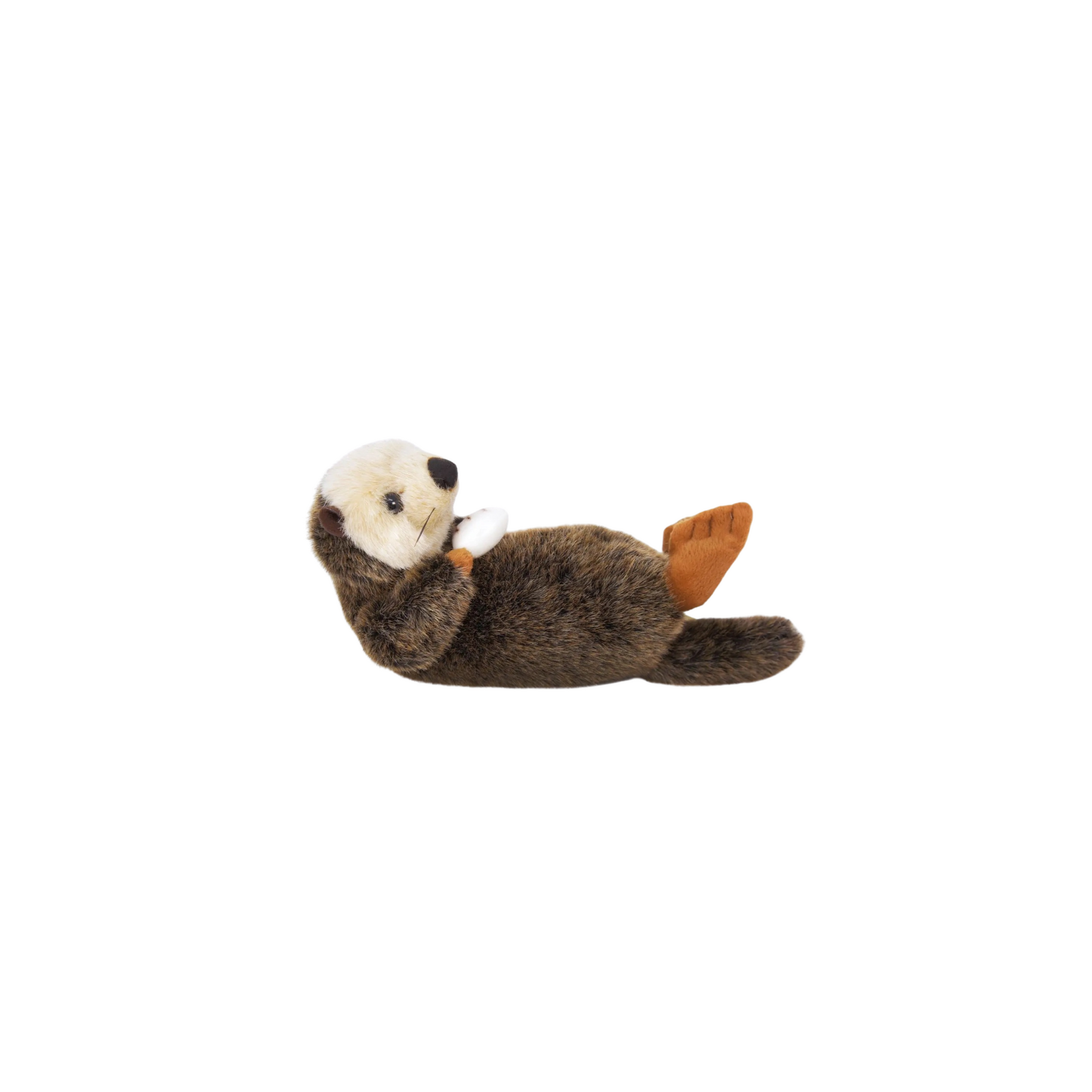Owen The Sea Otter with white shell