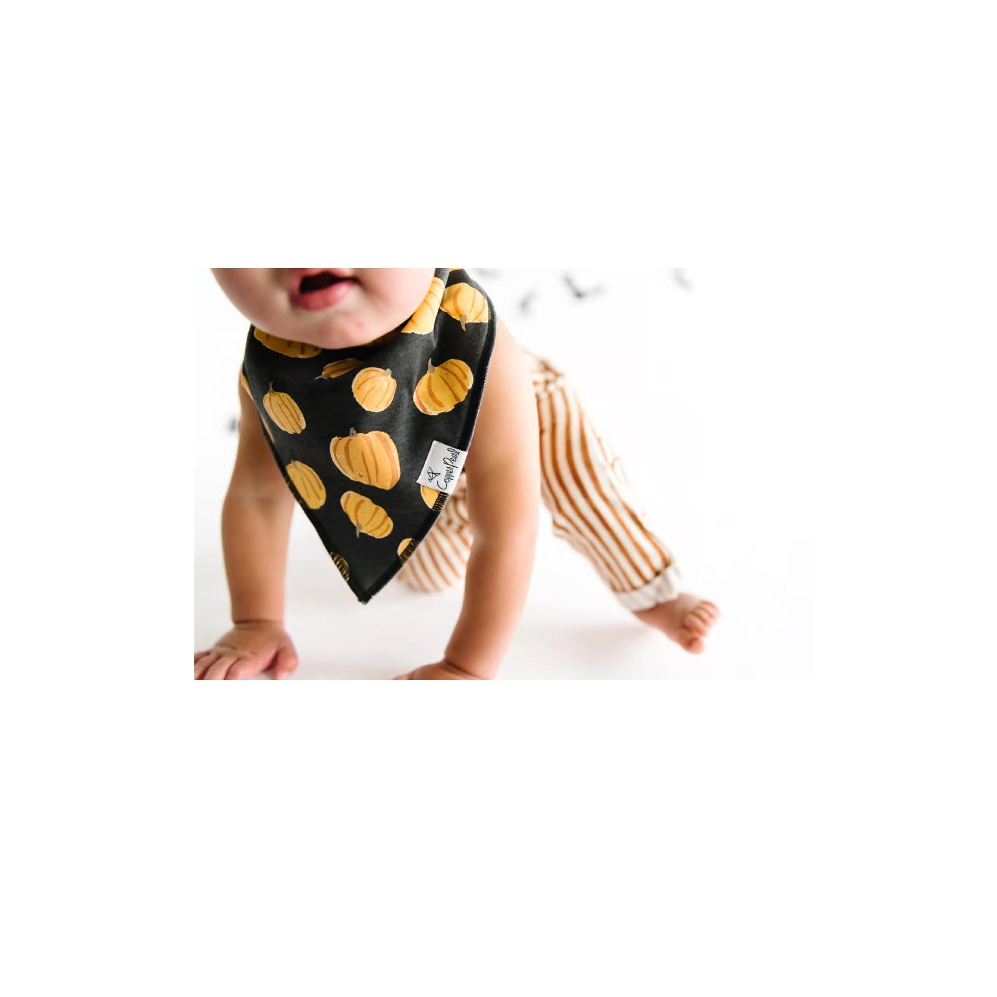 Patch Bandana Bib Collection - Tadpoles and Tiddlers