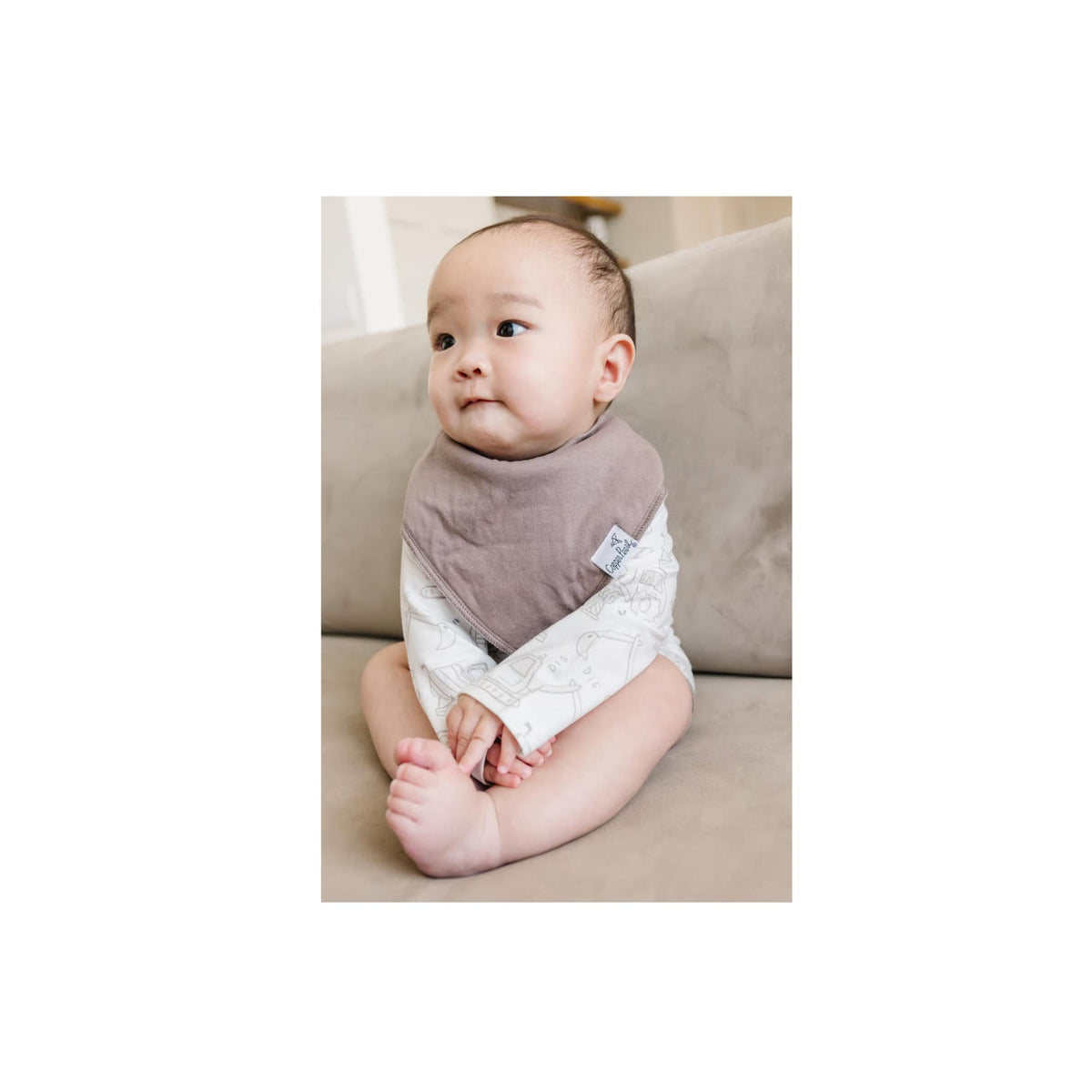 Gage Bandana Bib Collection