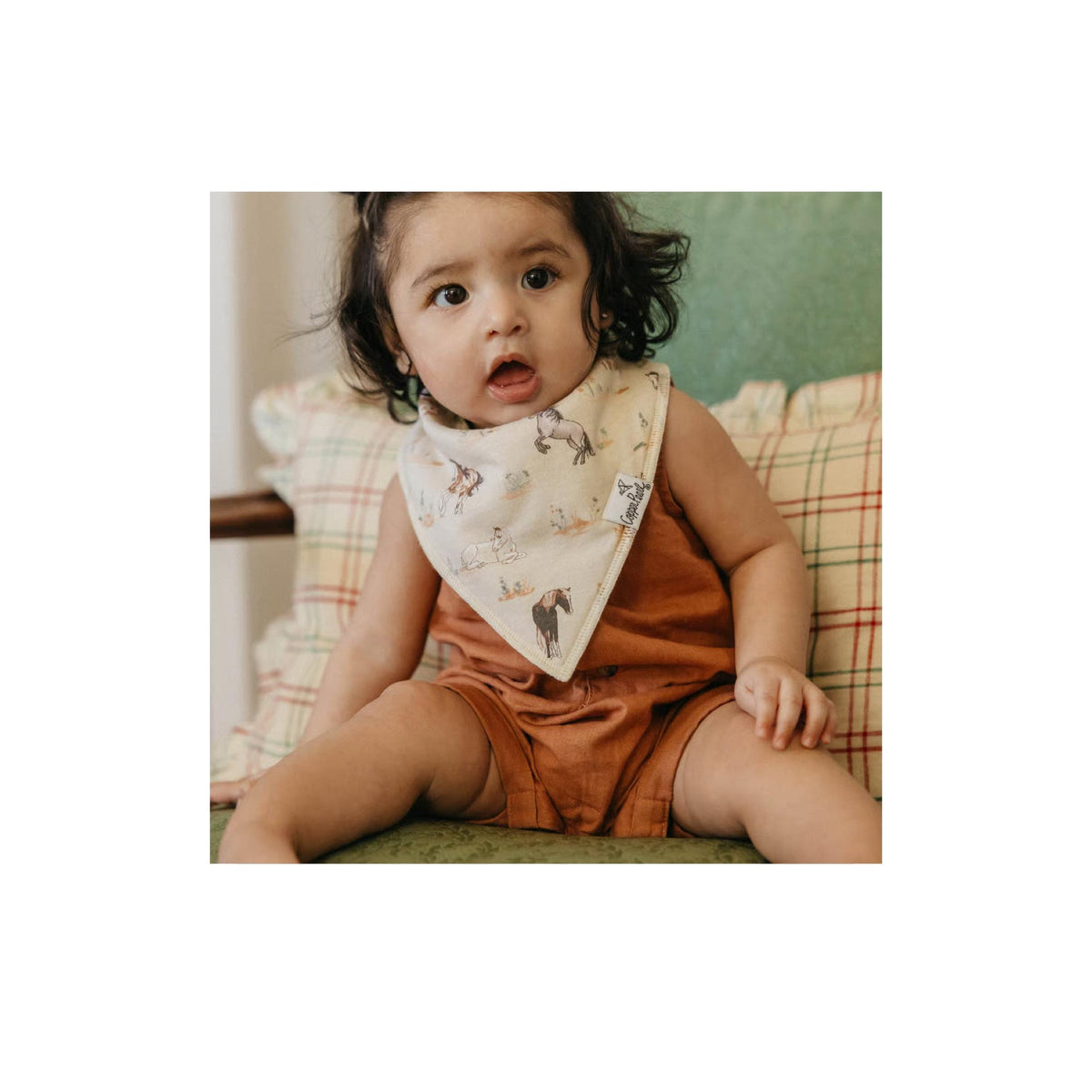 Cheyenne Bandana Bib Collection