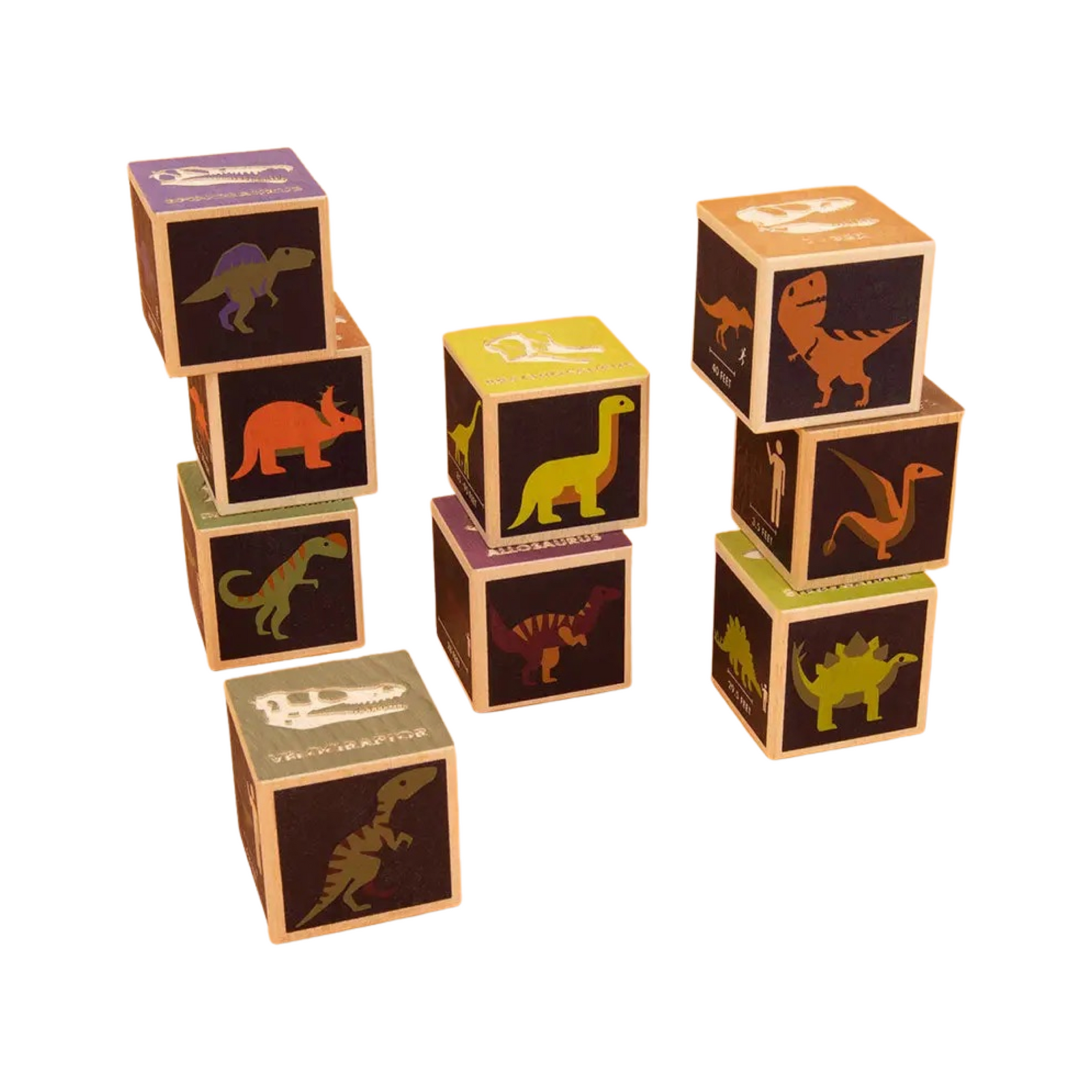 Dinosaur Wooden Blocks