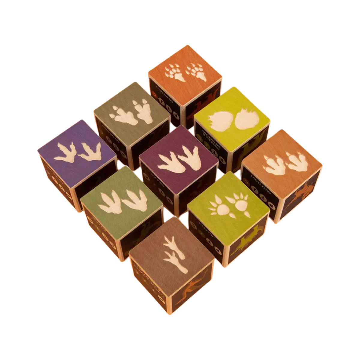 Dinosaur Wooden Blocks