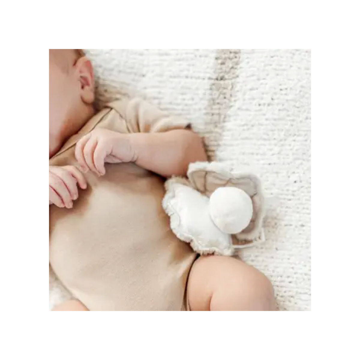 Oyster Handheld Texture Rattle
