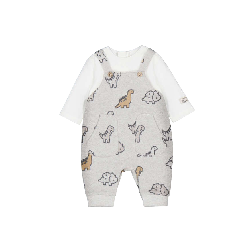 Dinosaur Print Overall