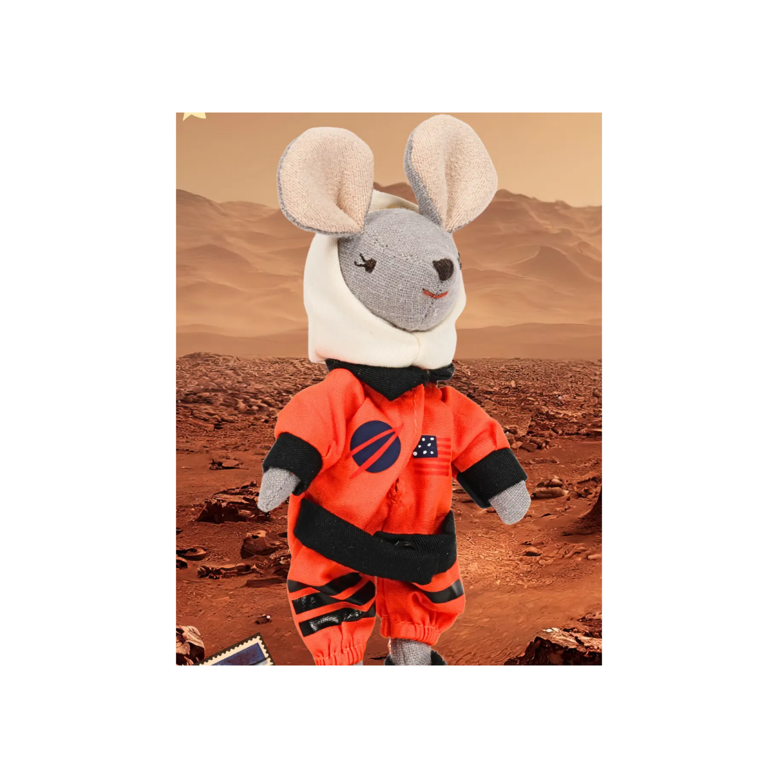 Astronaut Mouse In A Box