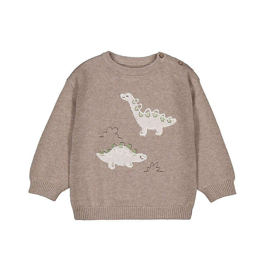 Dinosaur Graphic Boys’ Sweater