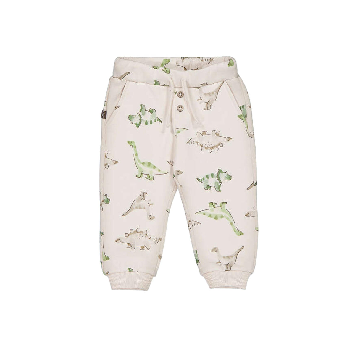 Dinosaur Print Sweatpants