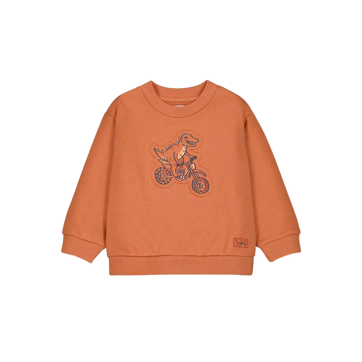 Dinosaur Graphic Sweatshirt