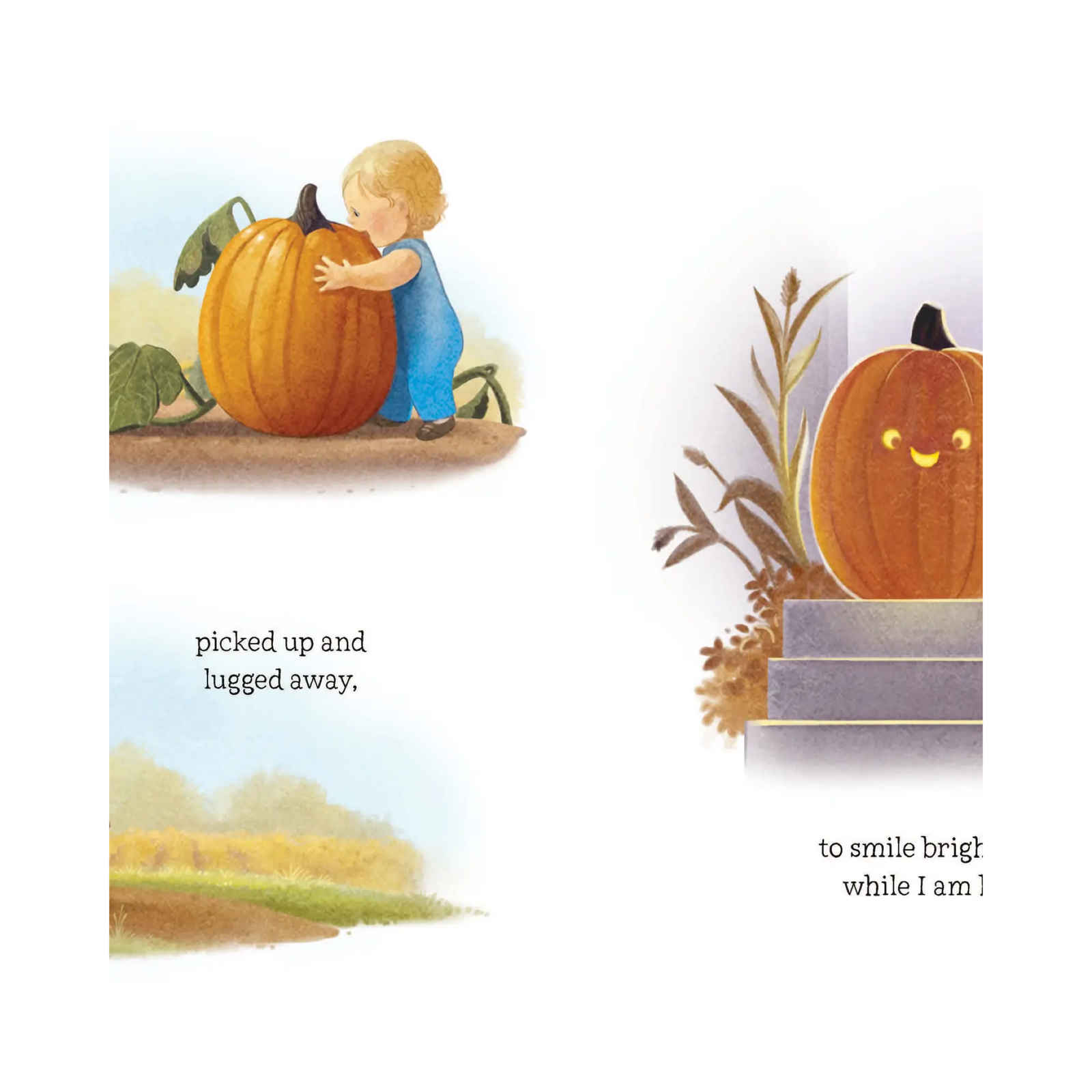 Lumpy Bumkin Pumpkin