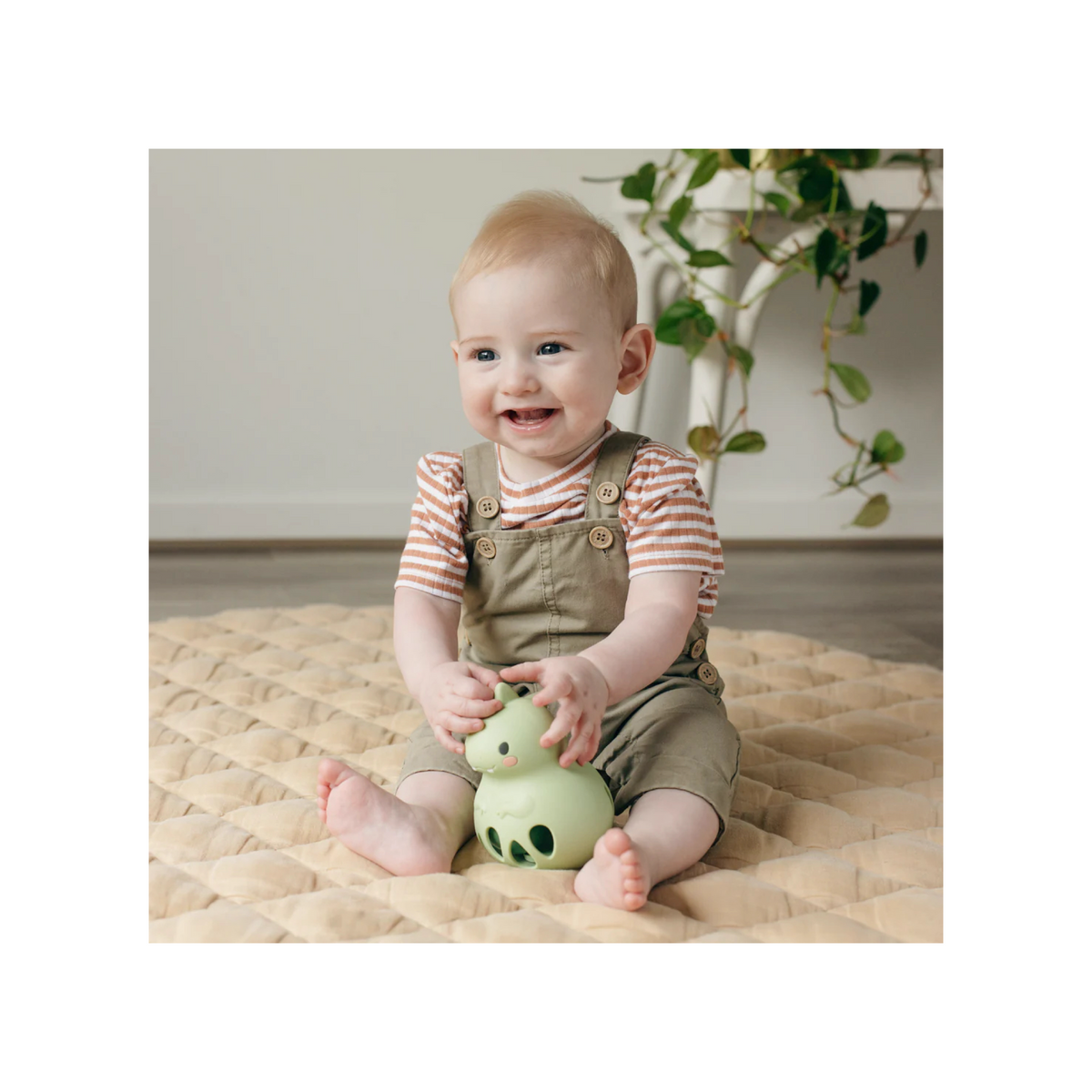 Silicone Rattle