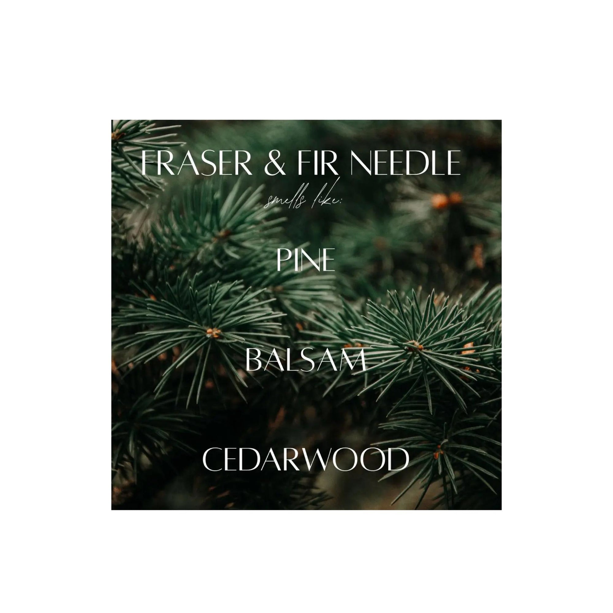 Fraser & Fir Needle 3-Wick Jar Candle