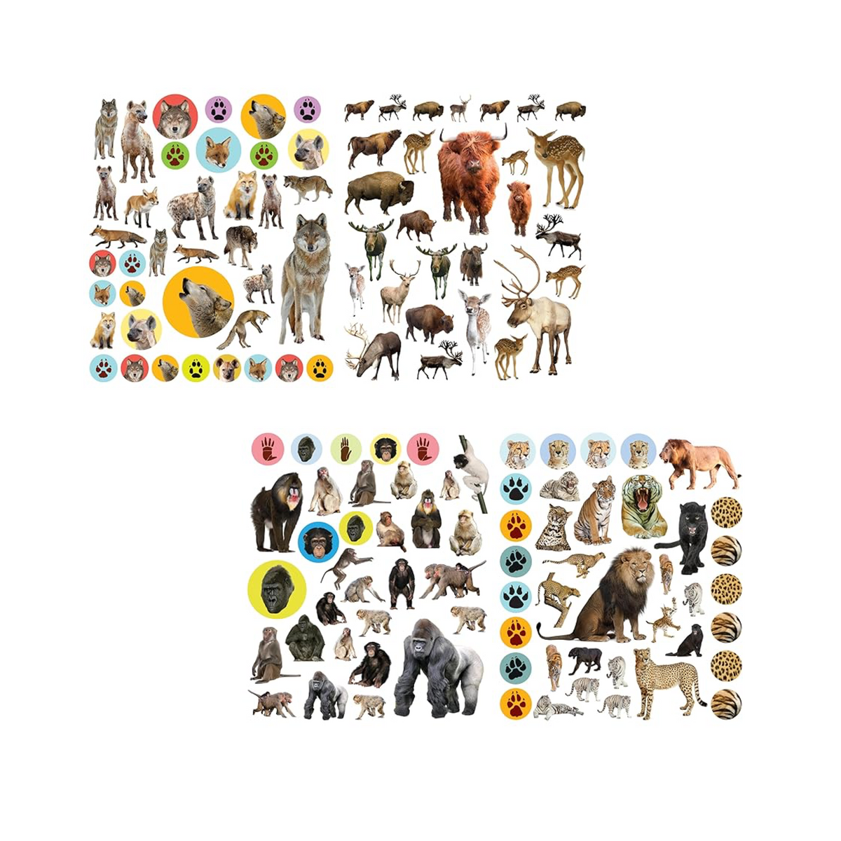 Eyelike Stickers