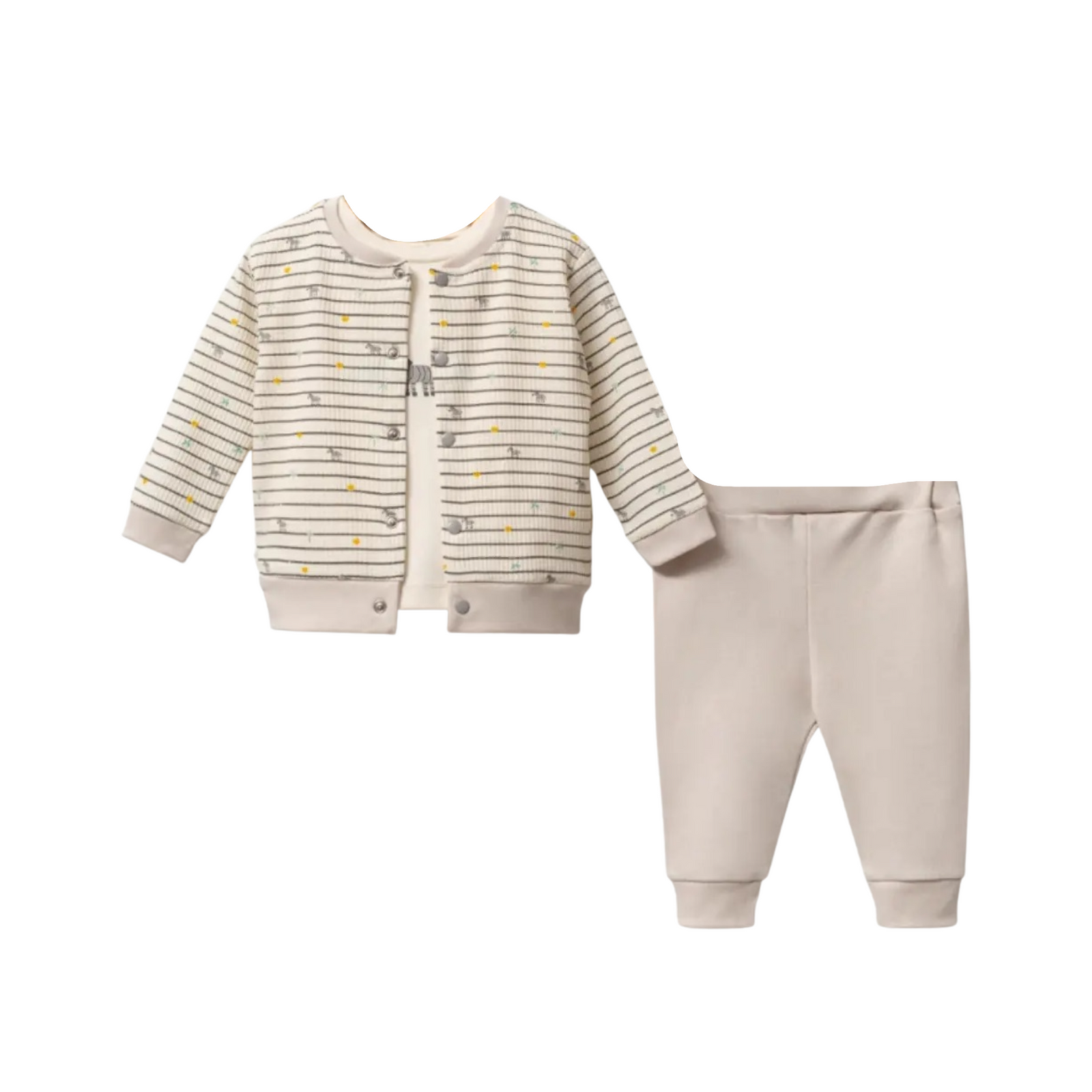 Zebra 3Pc Casual Set