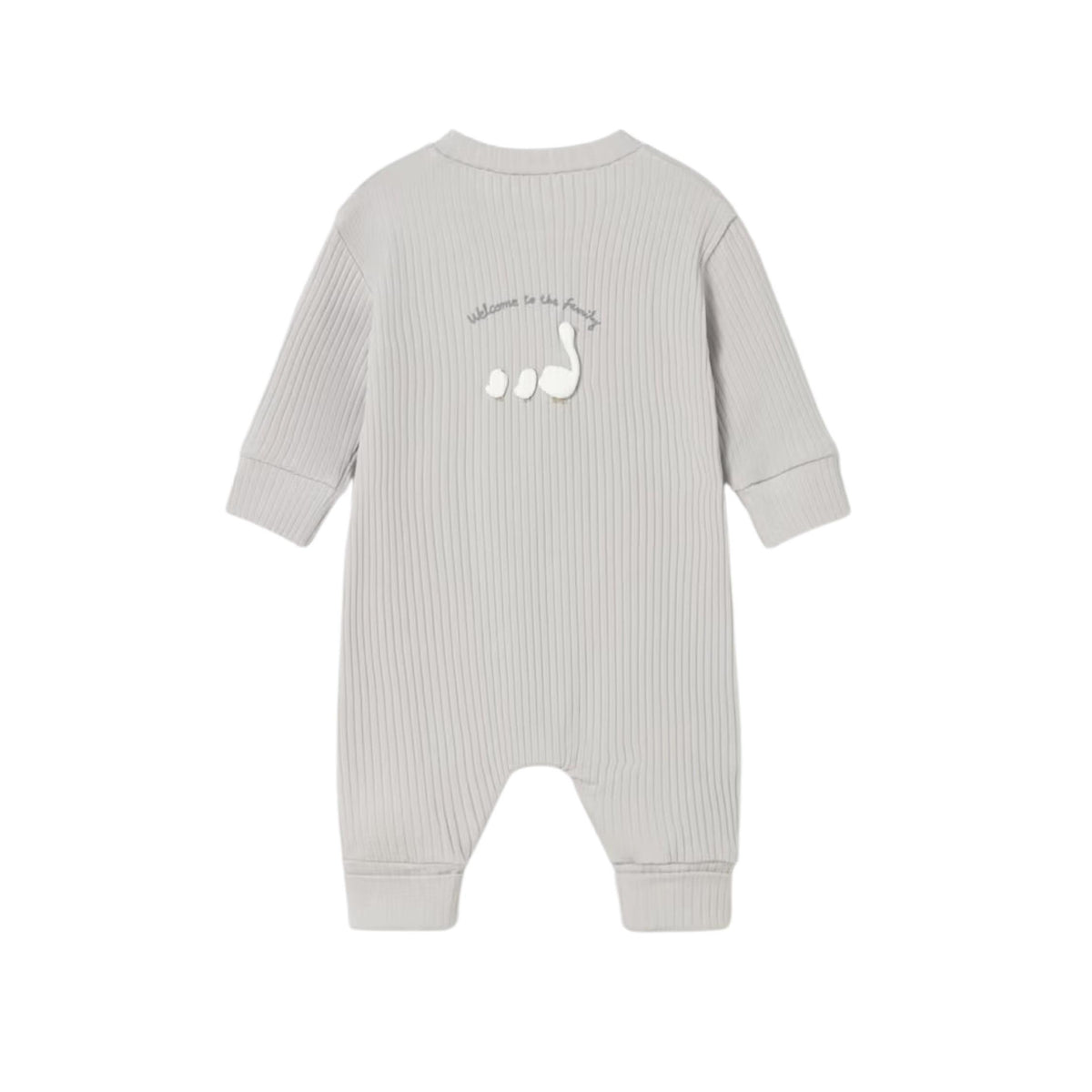 “Welcome To The Family” Baby Romper