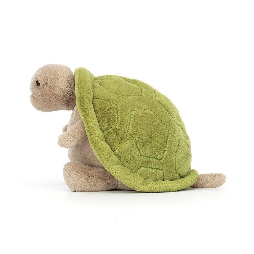 Timmy Turtle Plush