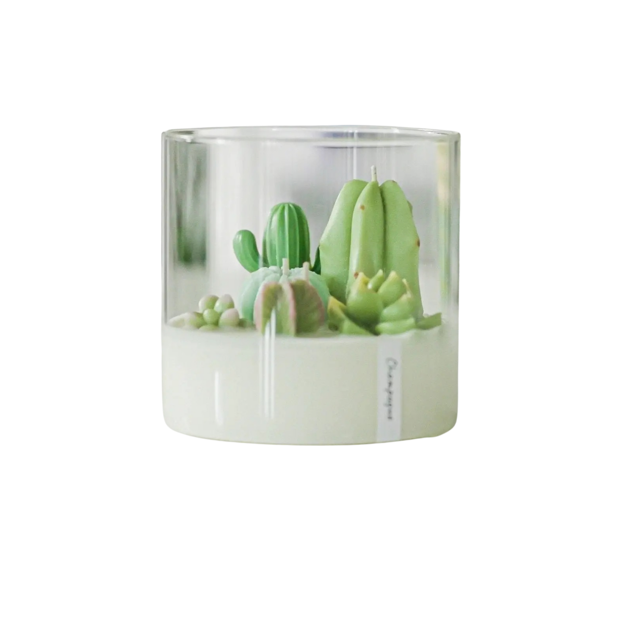 3-Wick Soy Cacti & Succulent Terrarium Candle