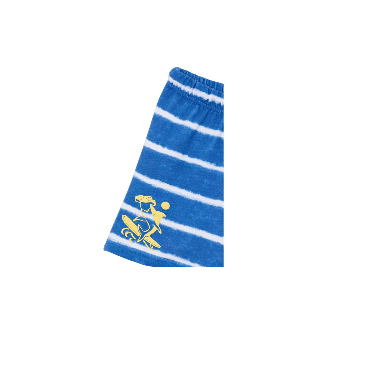 Boys’ Surfing Shark Striped Short