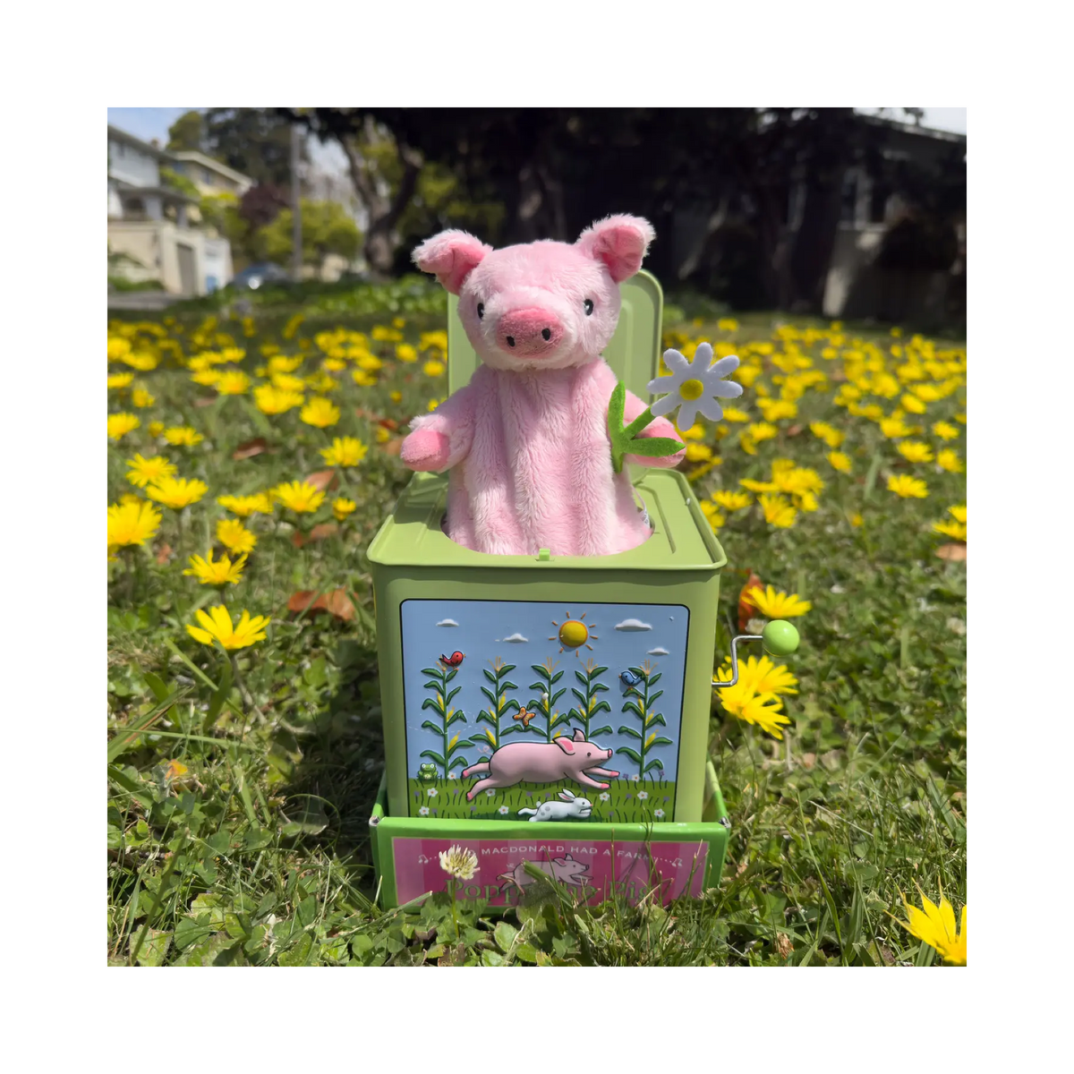 Poppy The Pig Jack In The Box