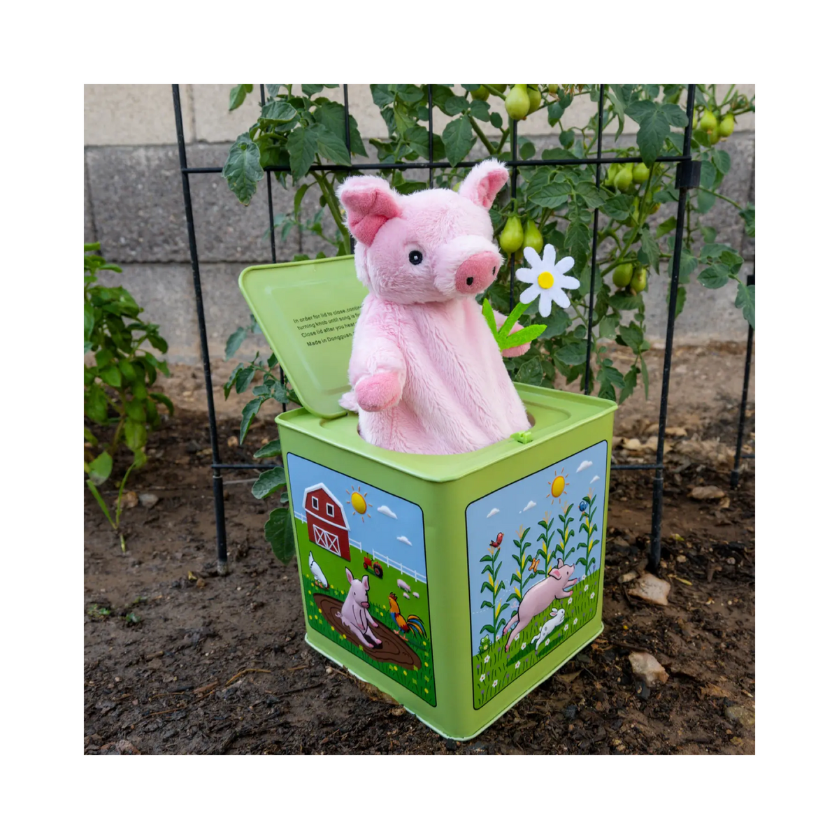 Poppy The Pig Jack In The Box