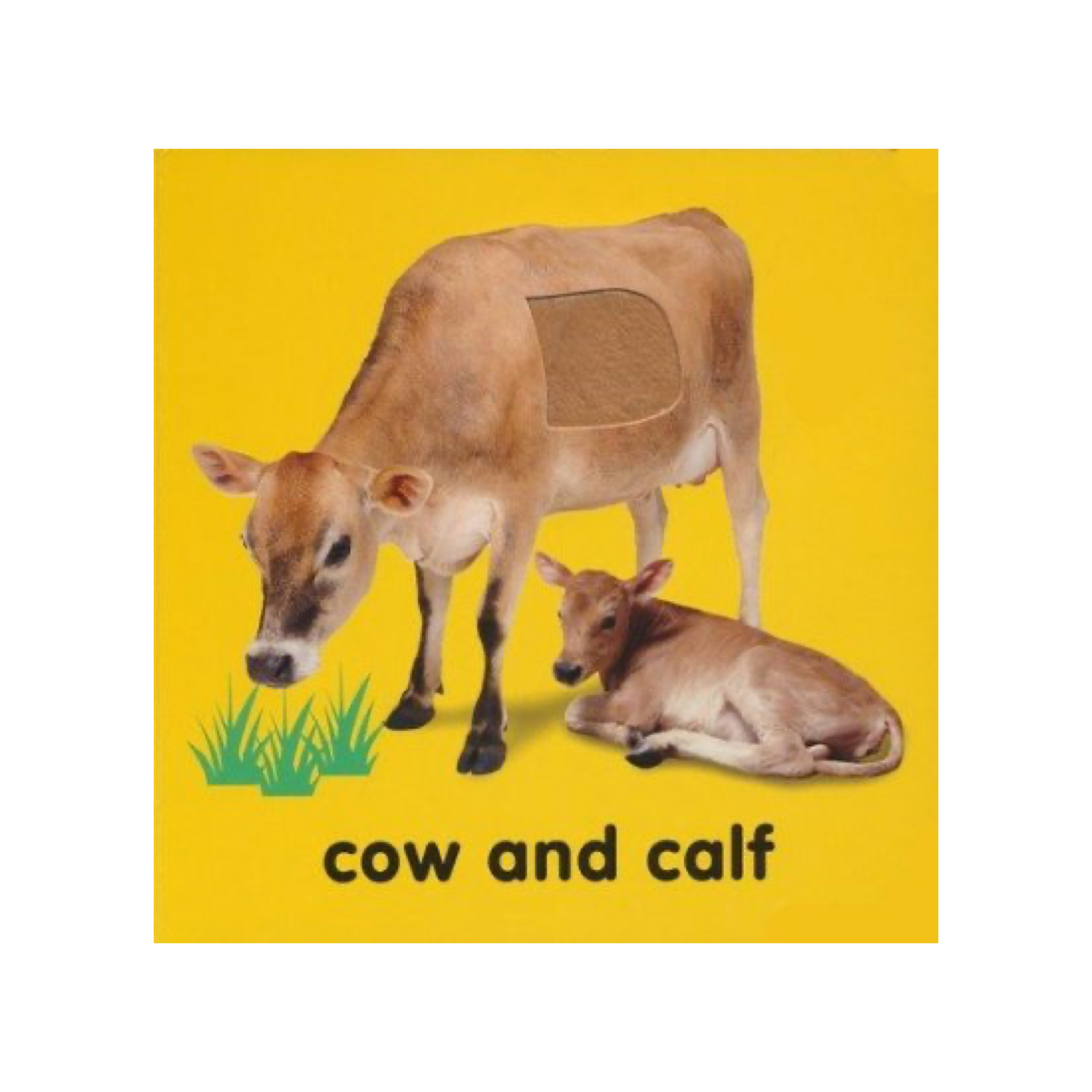 Baby Touch & Feel Bible Animals