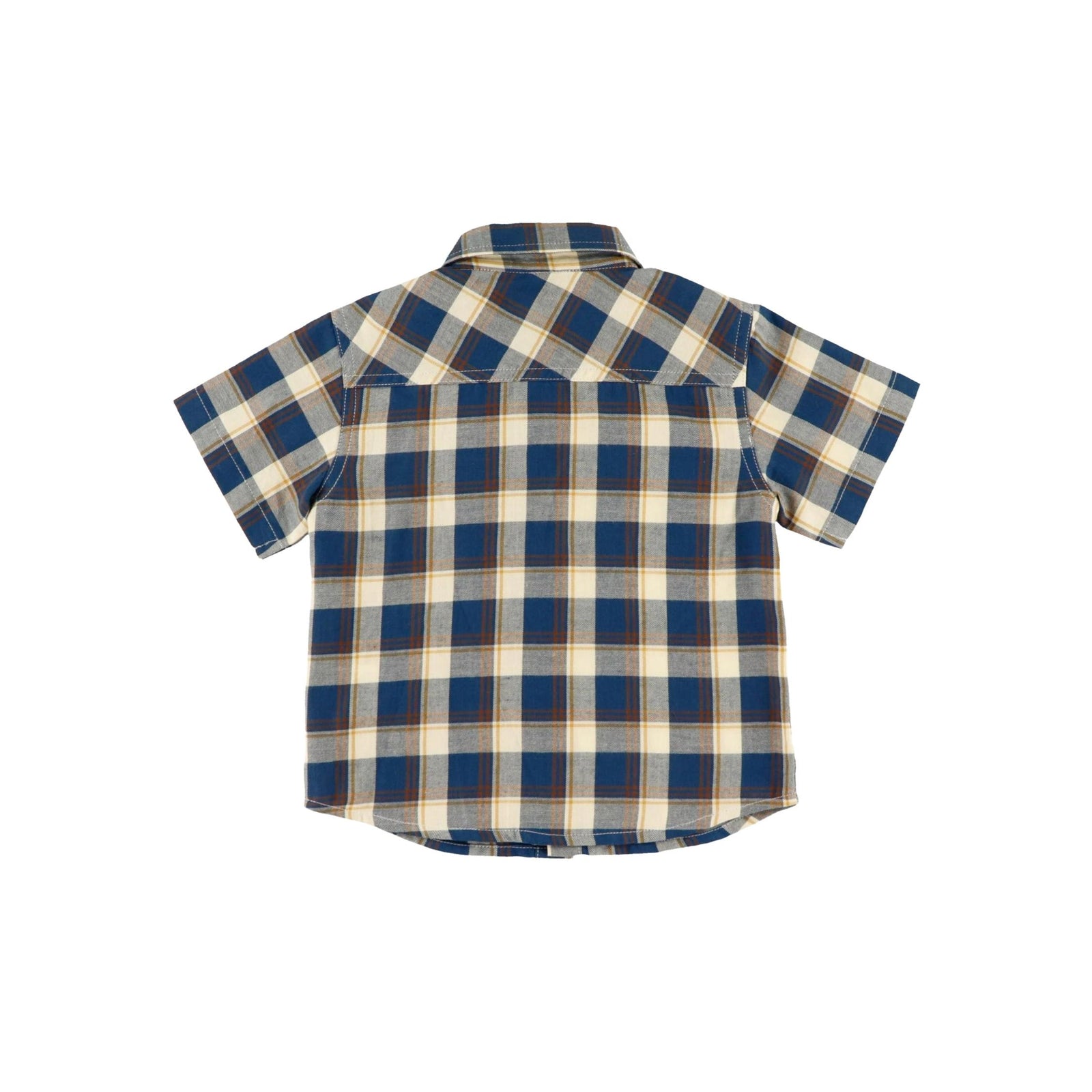 Baby Boy Blue Check Poplin Button Down Shirt