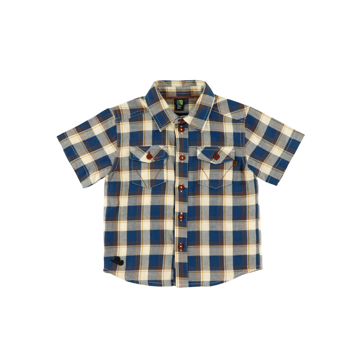 Baby Boy Blue Check Poplin Button Down Shirt