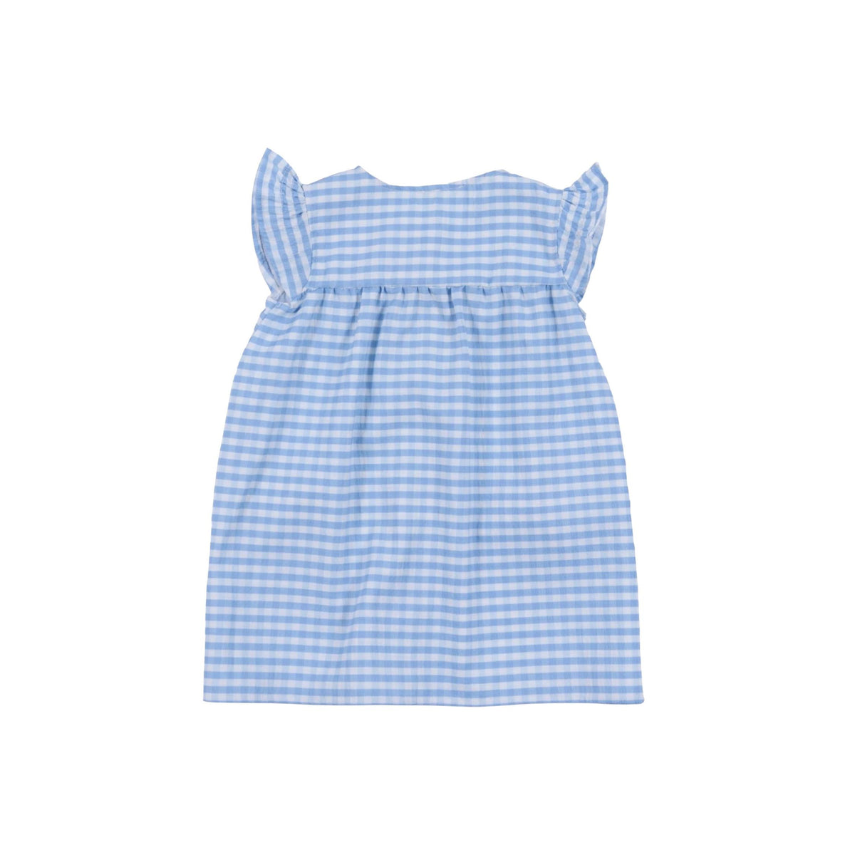 Baby Girl Blue and white Gingham Embroidered Dress