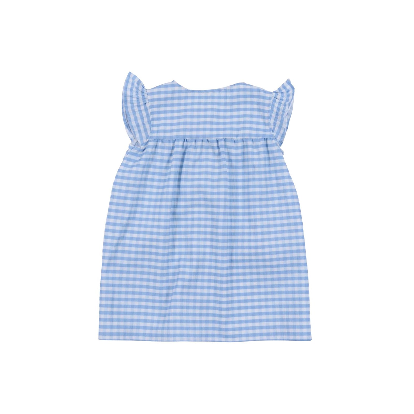 Baby Girl Blue and white Gingham Embroidered Dress
