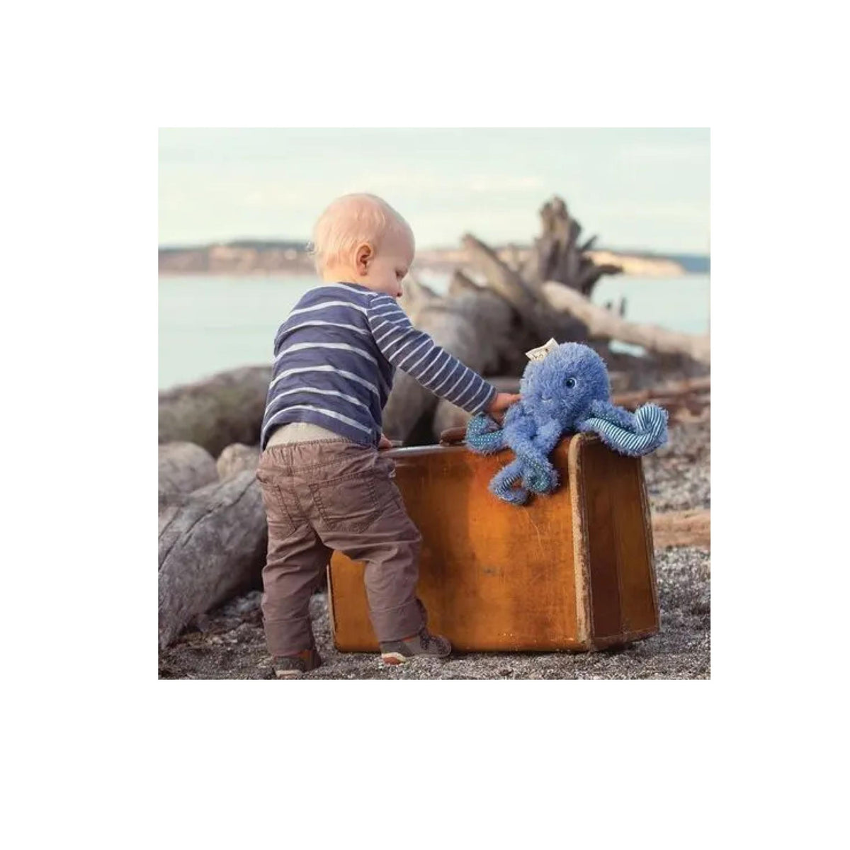 Ocho The Octopus Plush