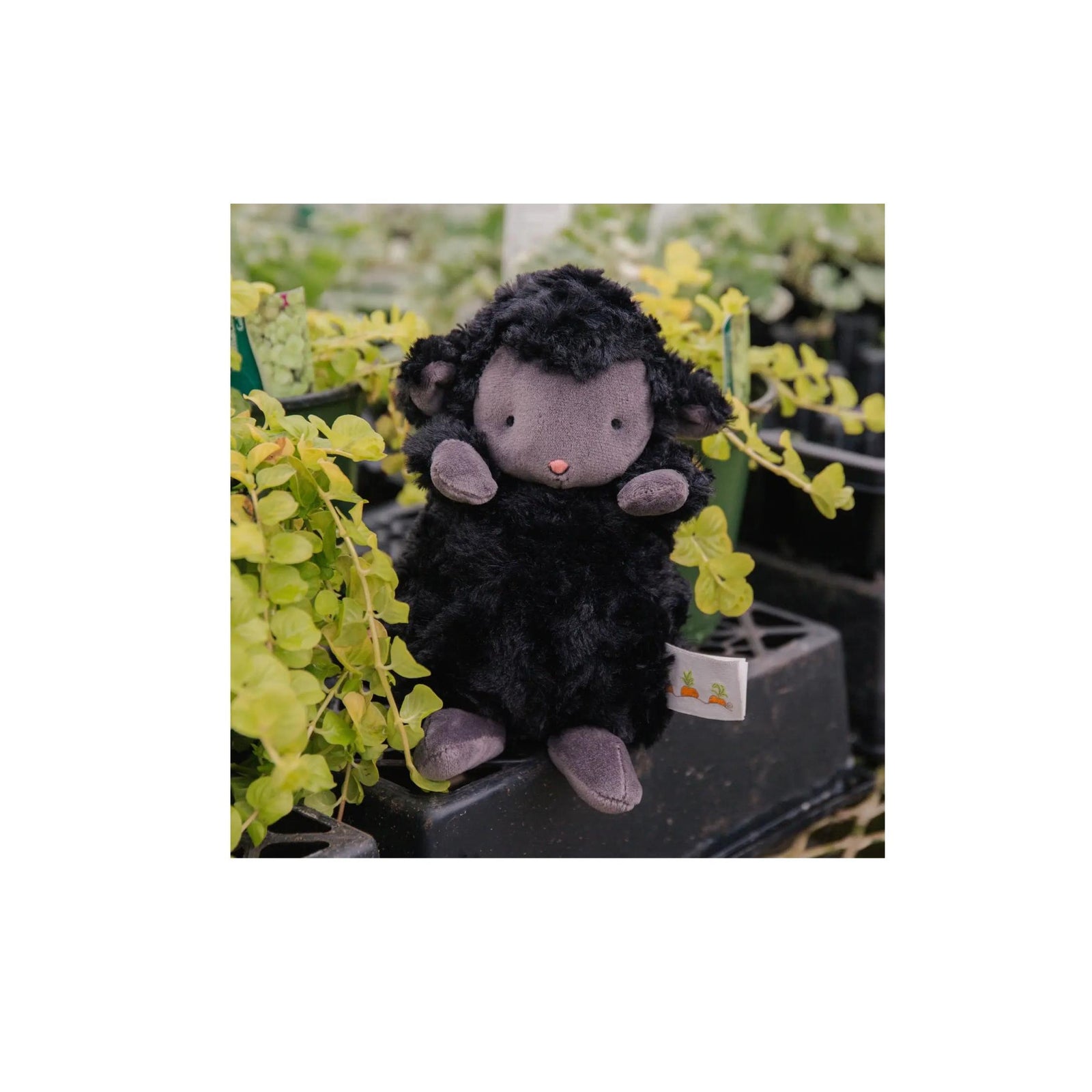 Plush Wee Kiddo the Black Lamb Plush