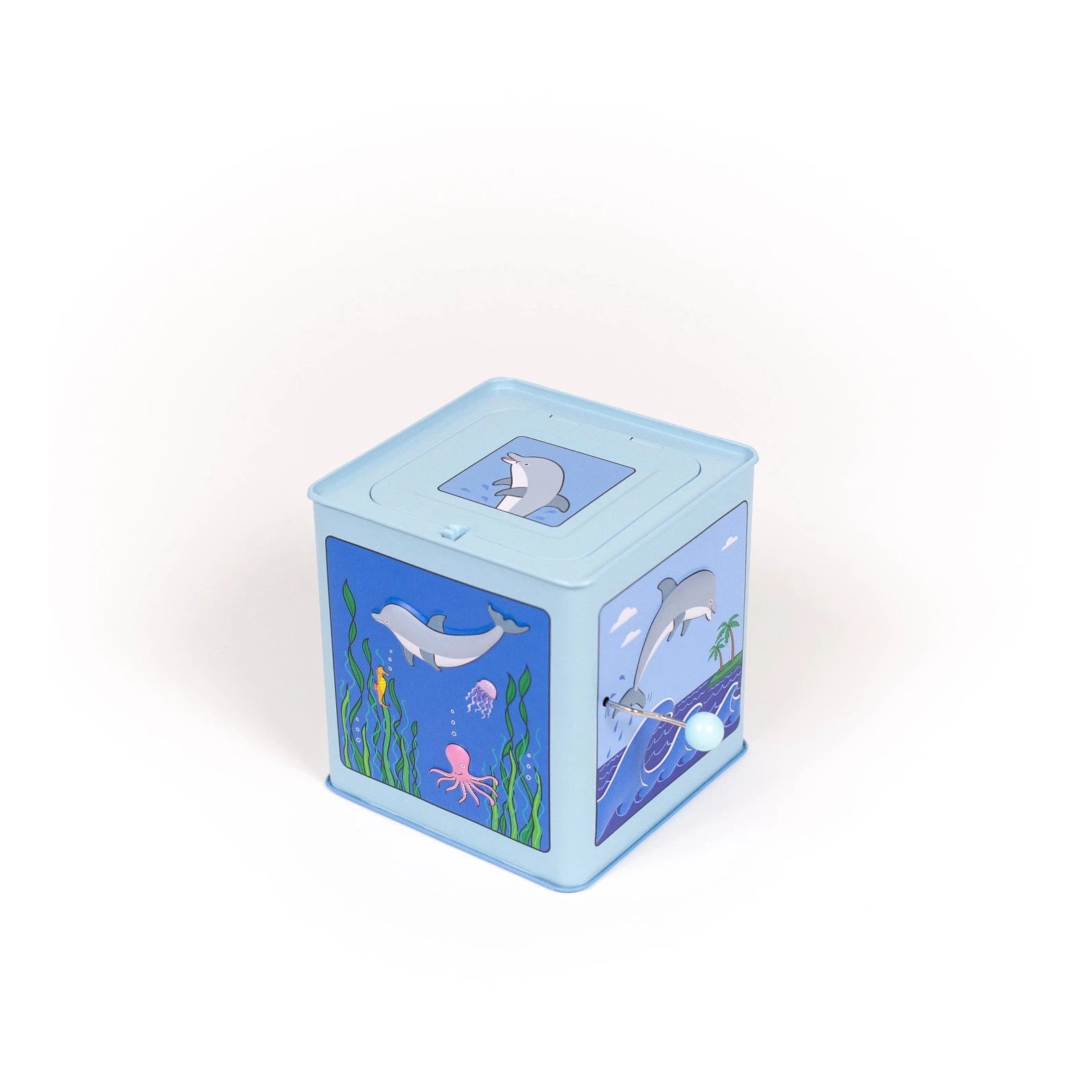 Dolphin Musical Jack-In-The-Box