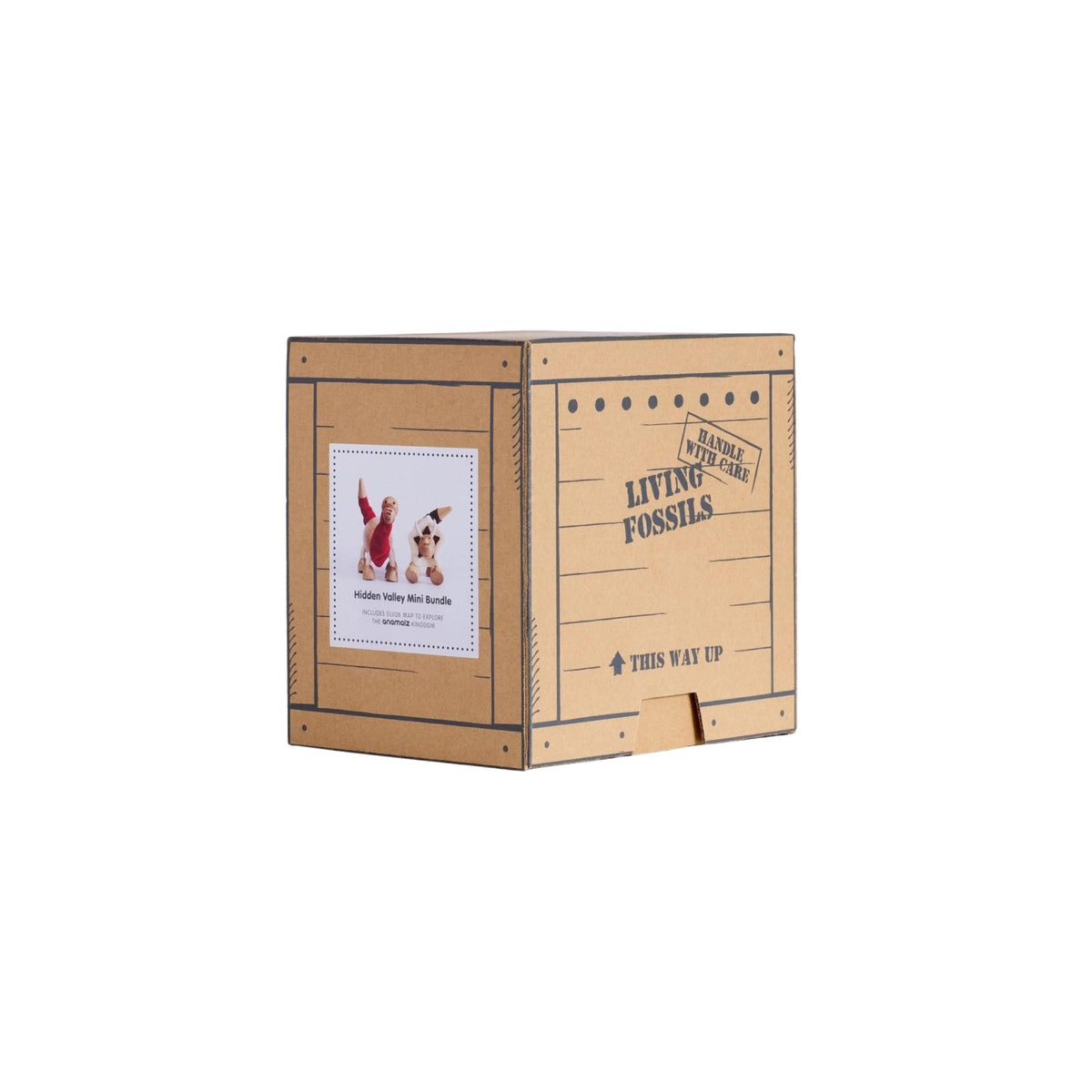 Hidden Valley Mini Crate-2 Wooden Dinosaur Gift Set