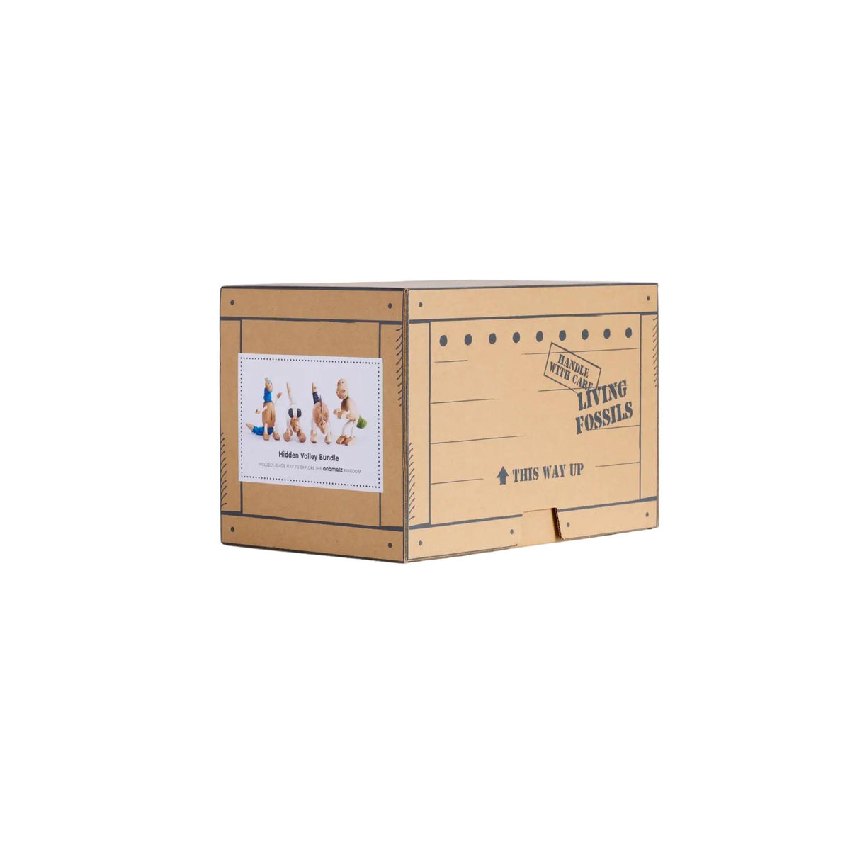 Hidden Valley Bundle Wooden Dinosaur Gift Crate
