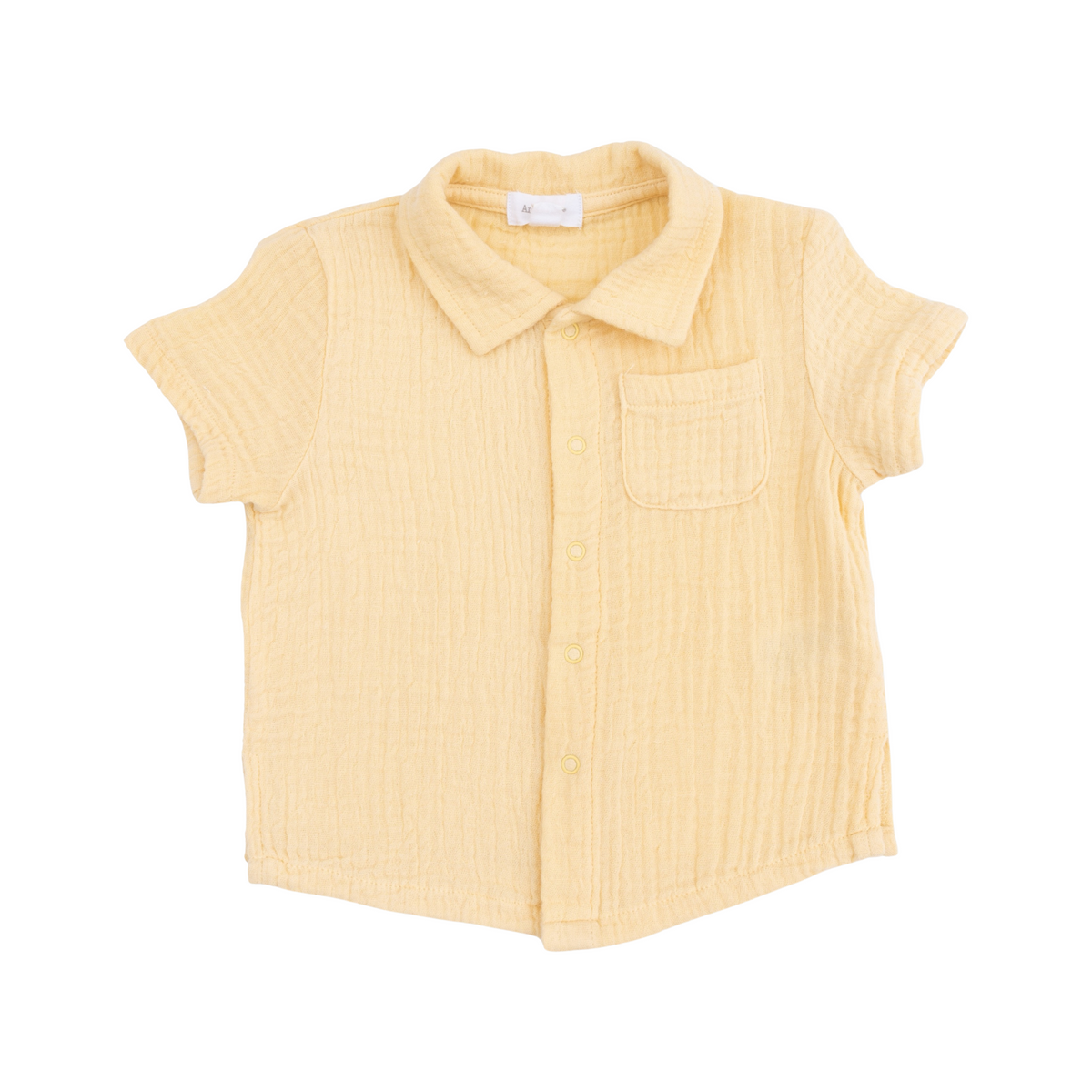 Micro Gingham Blue Blizzard Polo Button Up Shirt W/Casual Short