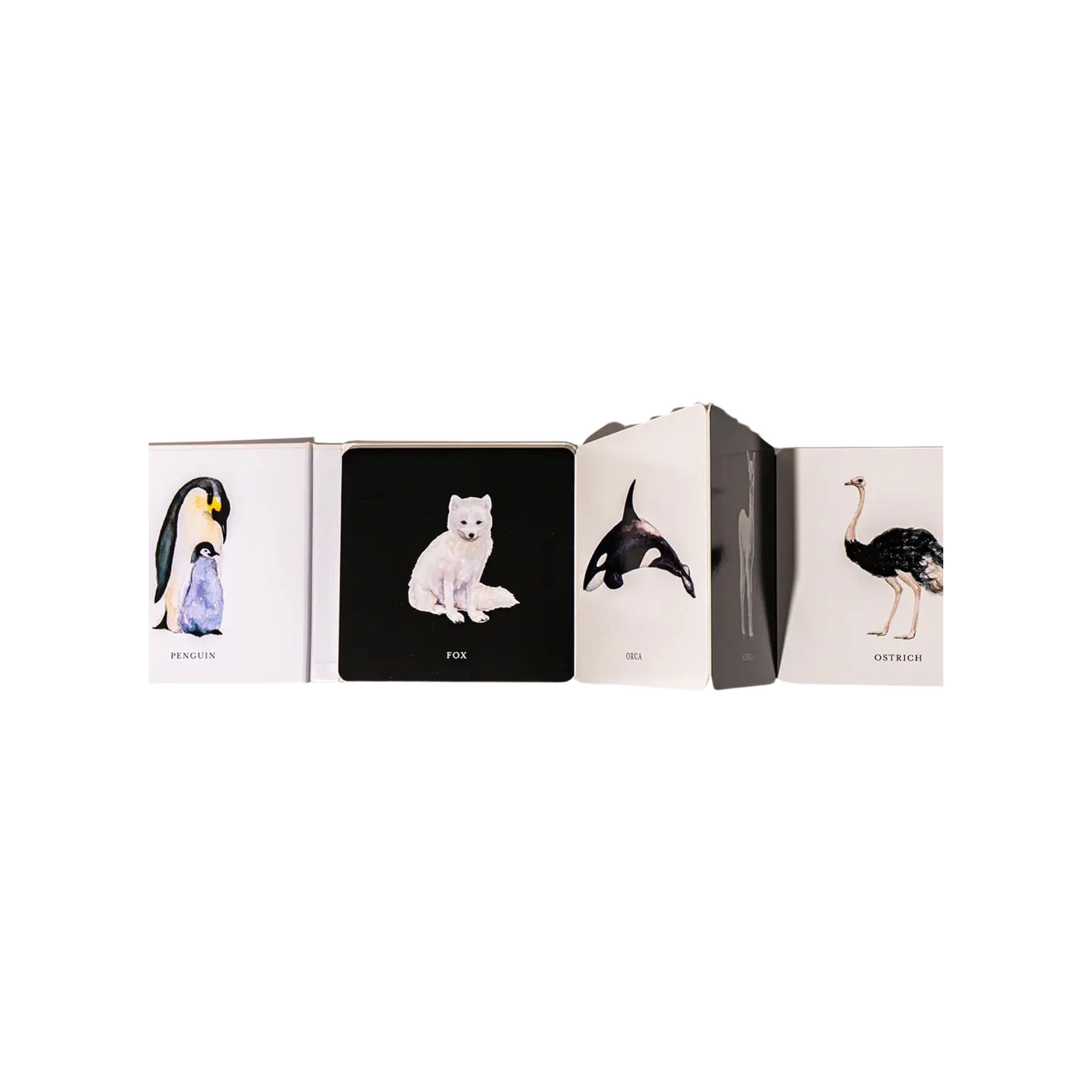 Black & White Contrast Book For Baby