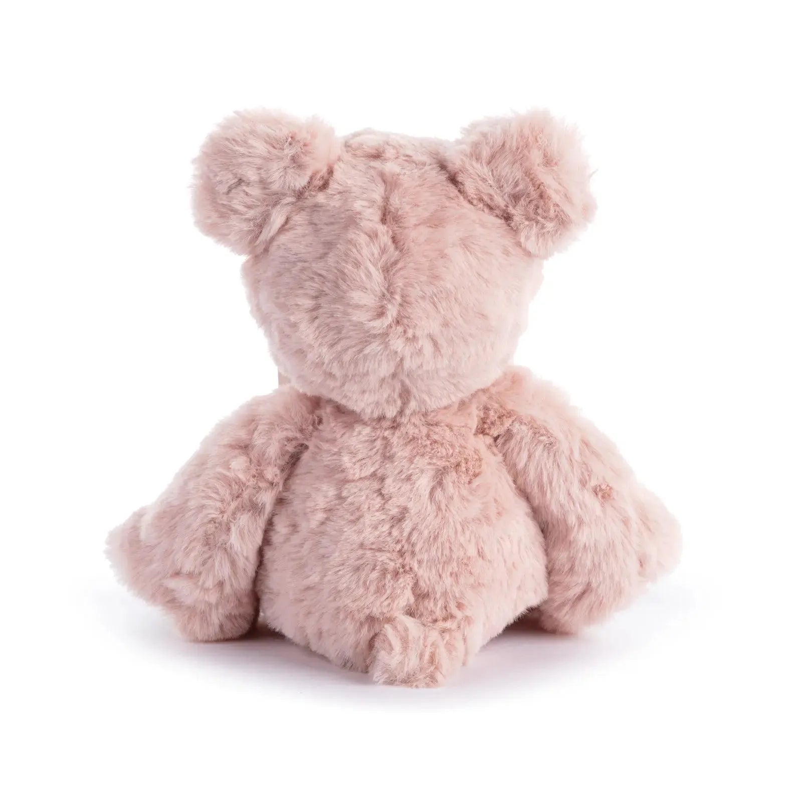 Big Sis & Big Bro Plush Bear with Bracelet