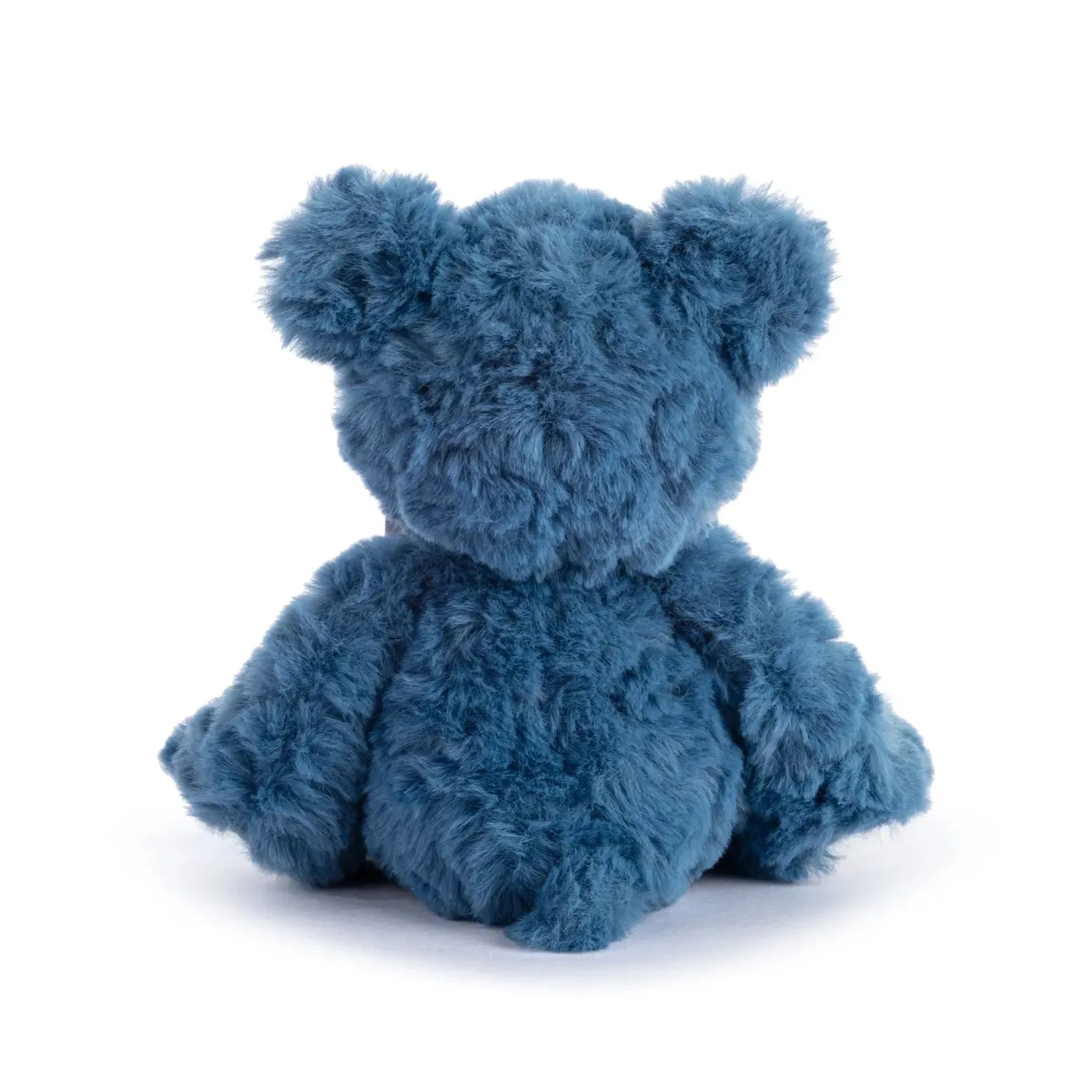 Big Sis & Big Bro Plush Bear with Bracelet